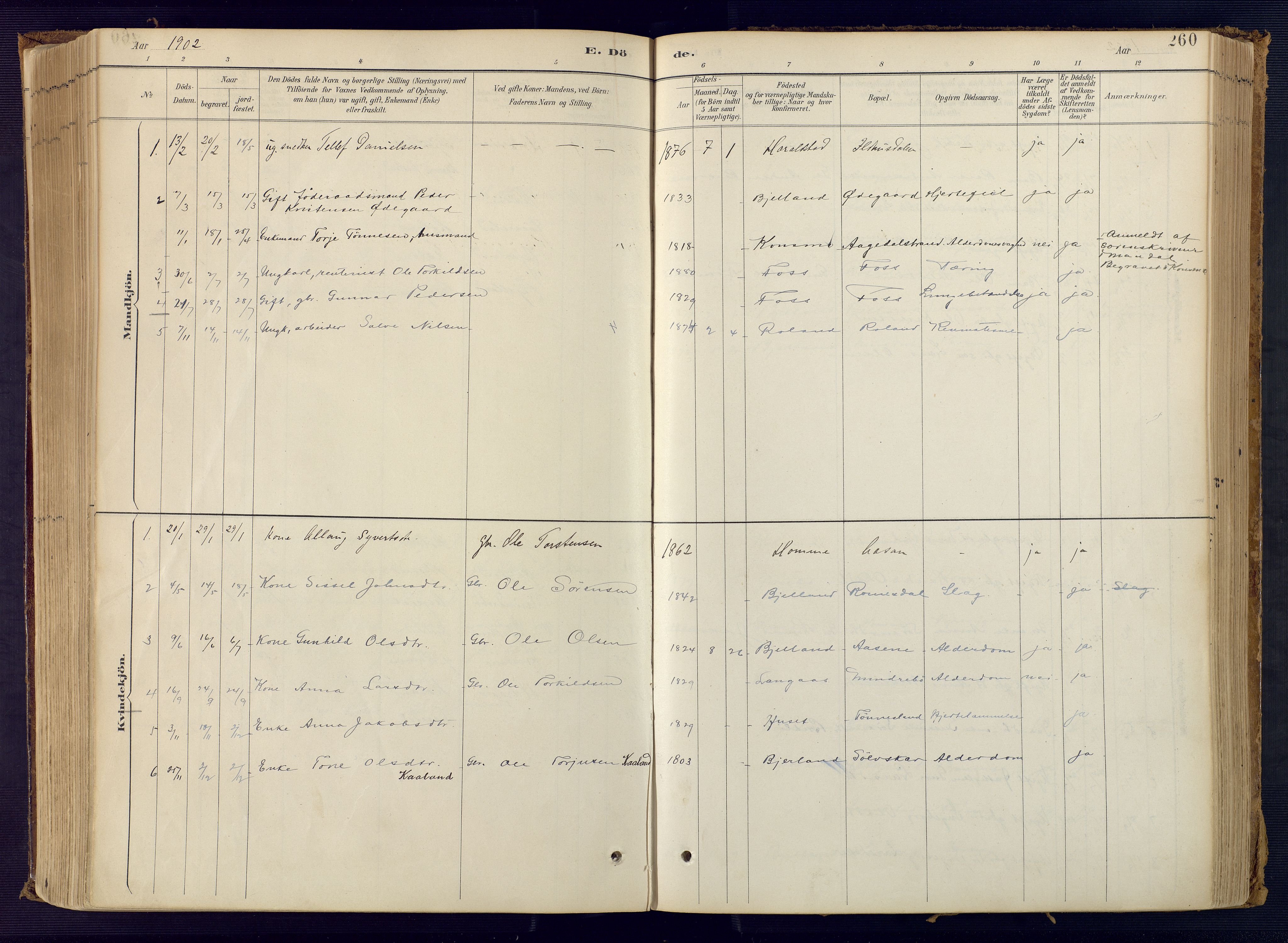 Bjelland sokneprestkontor, AV/SAK-1111-0005/F/Fa/Faa/L0004: Parish register (official) no. A 4, 1887-1923, p. 260