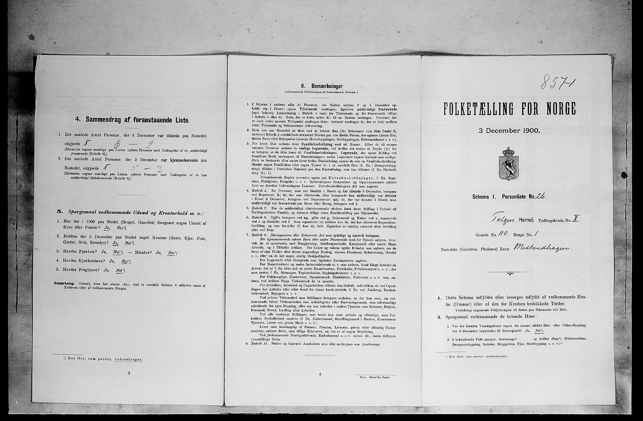 SAH, 1900 census for Tolga, 1900, p. 878