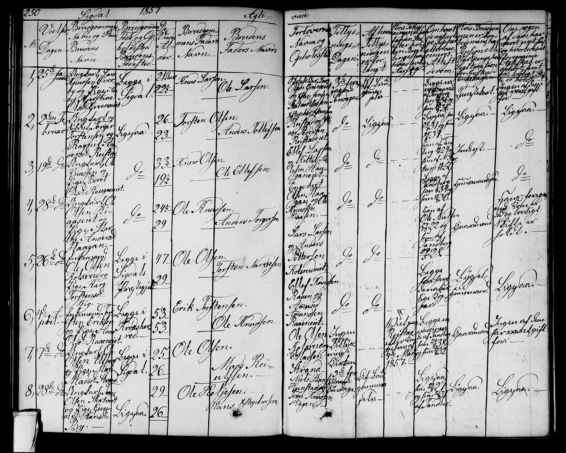 Sigdal kirkebøker, SAKO/A-245/G/Ga/L0003: Parish register (copy) no. I 3, 1857-1878, p. 250