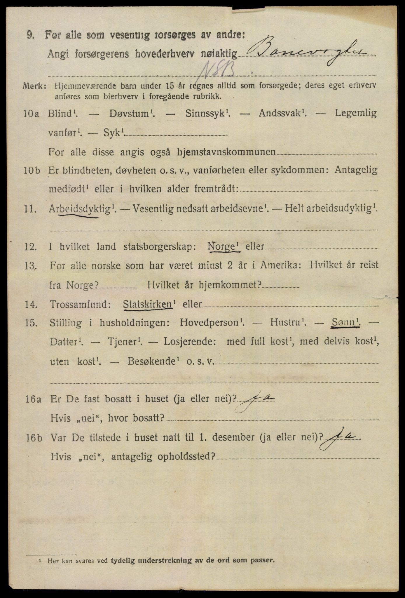 SAKO, 1920 census for Hol (Buskerud), 1920, p. 4092