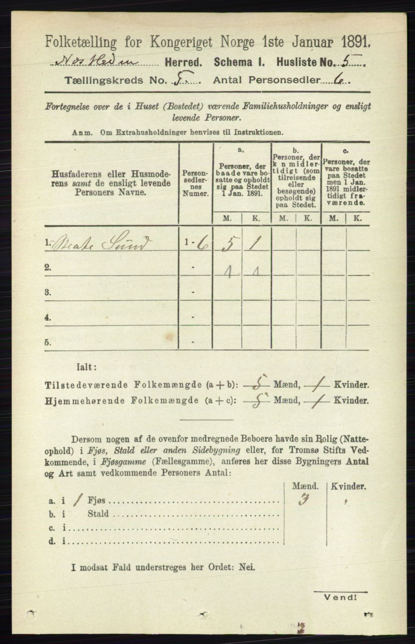 RA, 1891 census for 0411 Nes, 1891, p. 2525