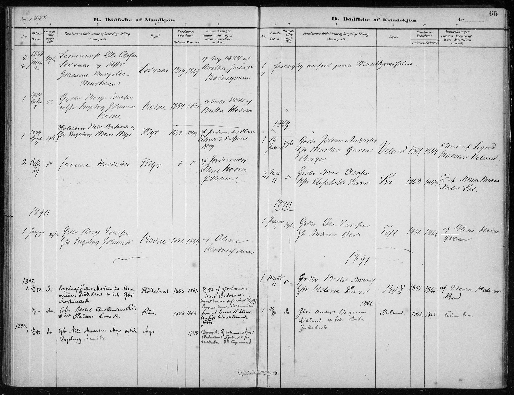 Lindås Sokneprestembete, AV/SAB-A-76701/H/Haa/Haaf/L0001: Parish register (official) no. F  1, 1886-1897, p. 65