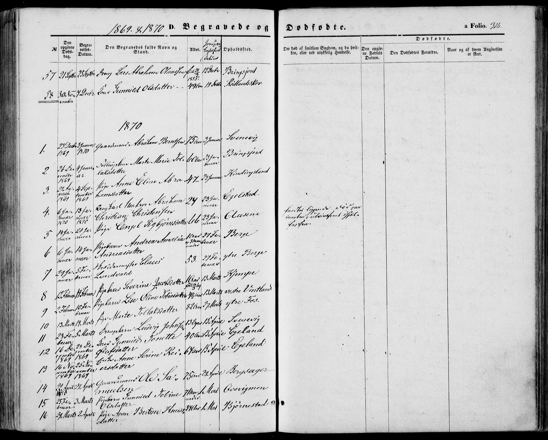 Lyngdal sokneprestkontor, AV/SAK-1111-0029/F/Fa/Fac/L0010: Parish register (official) no. A 10, 1865-1878, p. 316