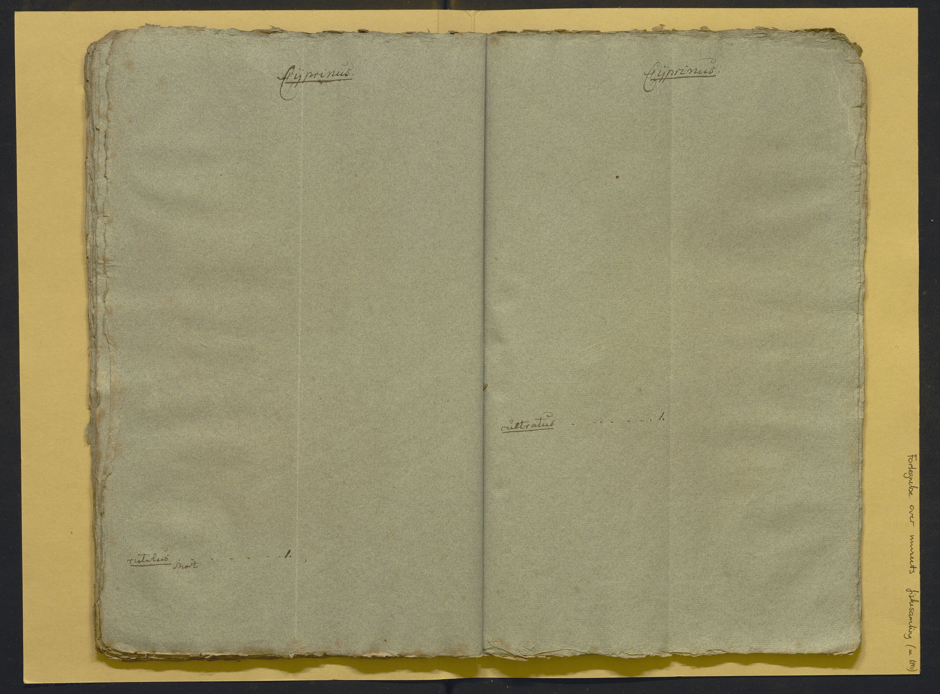 Bergens Museum, AV/SAB-A-17301/02/F/L0001: Kataloger over gjenstander og pergamentbrev , 1825-1880, p. 516