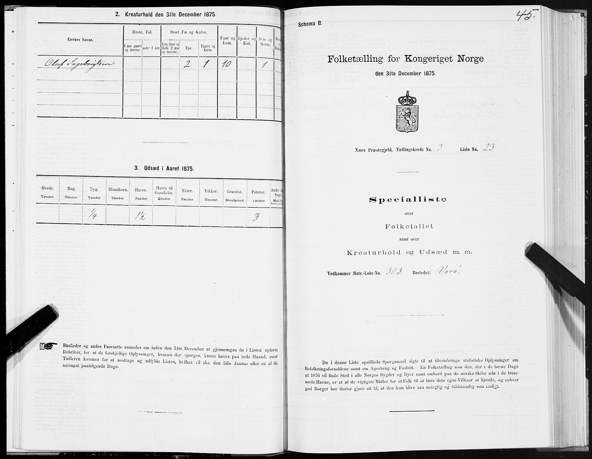SAT, 1875 census for 1751P Nærøy, 1875, p. 2045