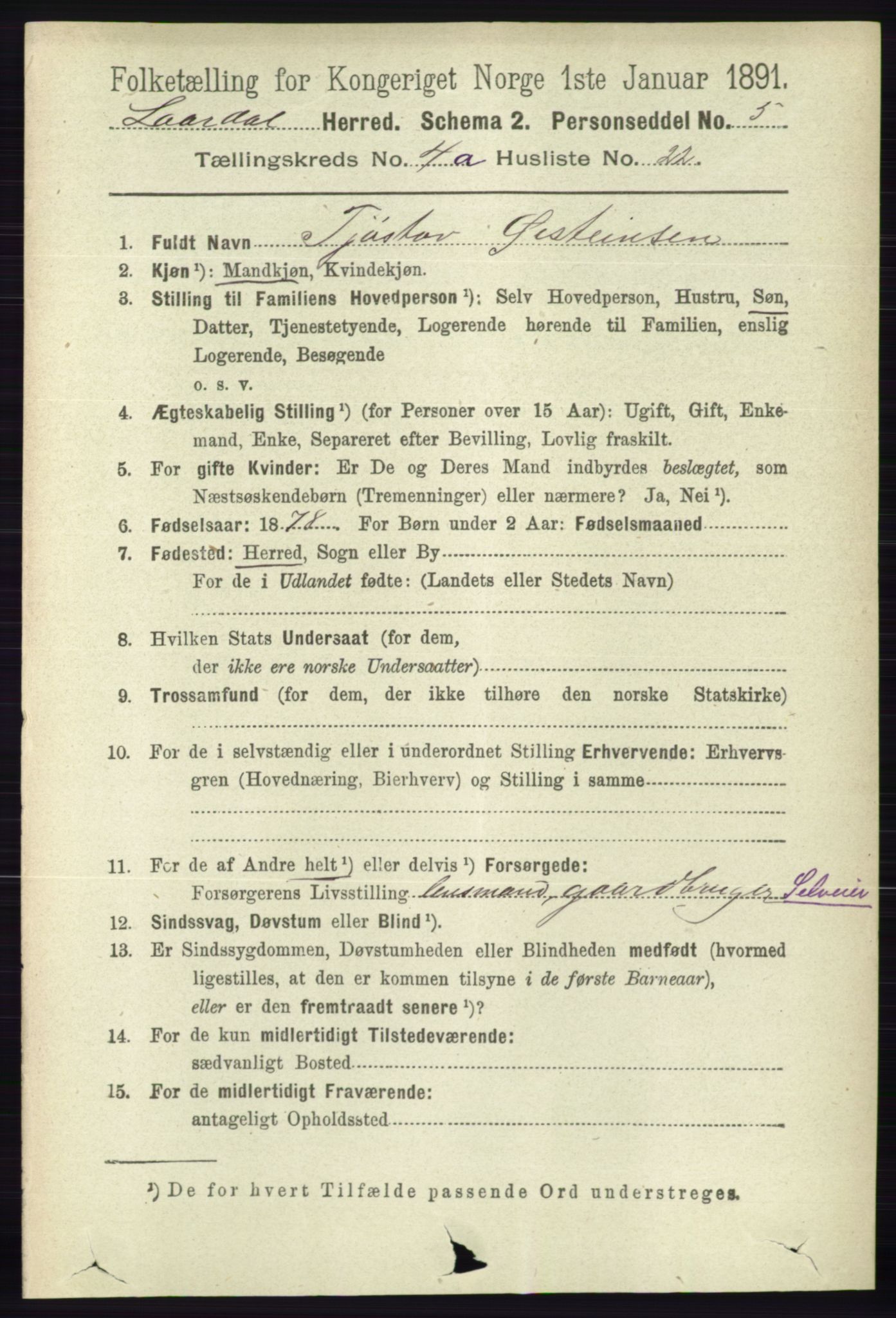 RA, 1891 census for 0833 Lårdal, 1891, p. 1152