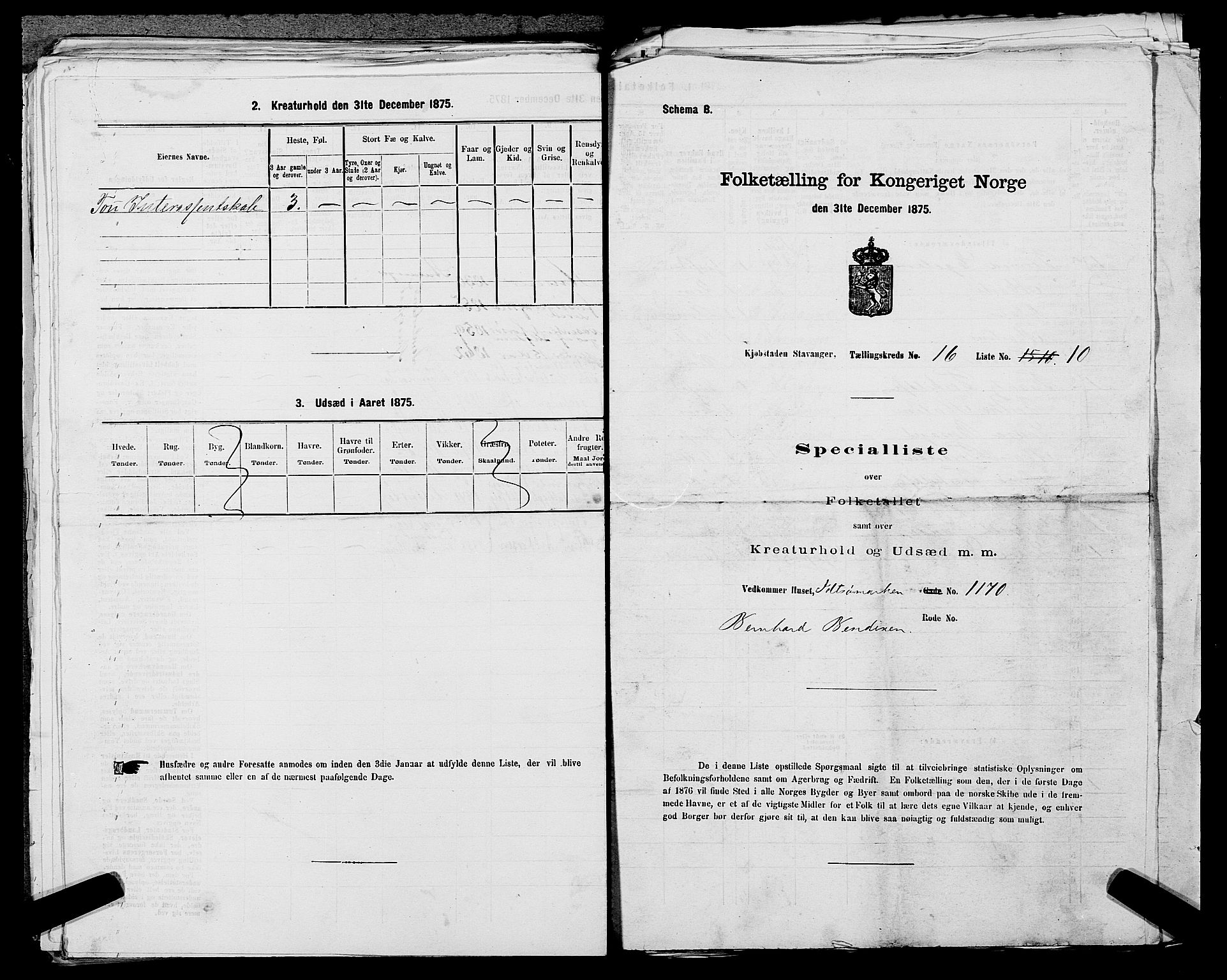 SAST, 1875 census for 1103 Stavanger, 1875, p. 3363