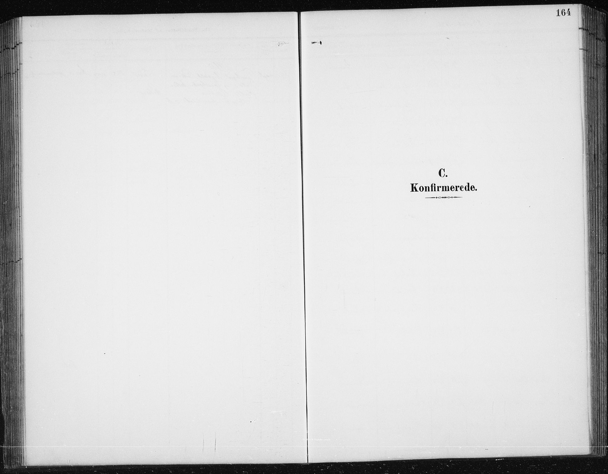 Ministerialprotokoller, klokkerbøker og fødselsregistre - Sør-Trøndelag, SAT/A-1456/674/L0876: Parish register (copy) no. 674C03, 1892-1912, p. 164
