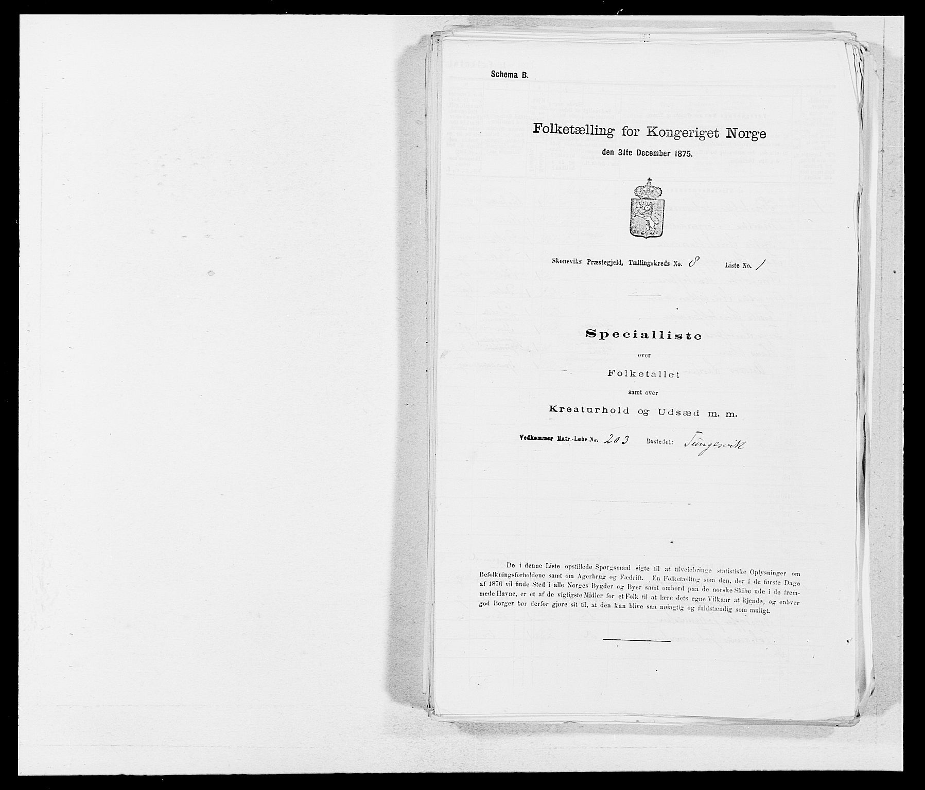 SAB, 1875 census for 1212P Skånevik, 1875, p. 870