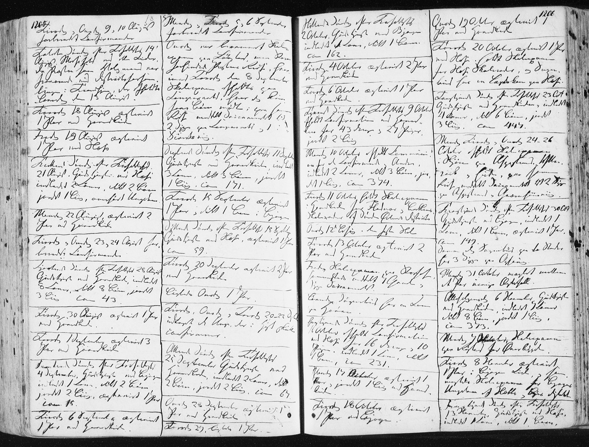 Ministerialprotokoller, klokkerbøker og fødselsregistre - Sør-Trøndelag, SAT/A-1456/659/L0736: Parish register (official) no. 659A06, 1842-1856, p. 1205-1206