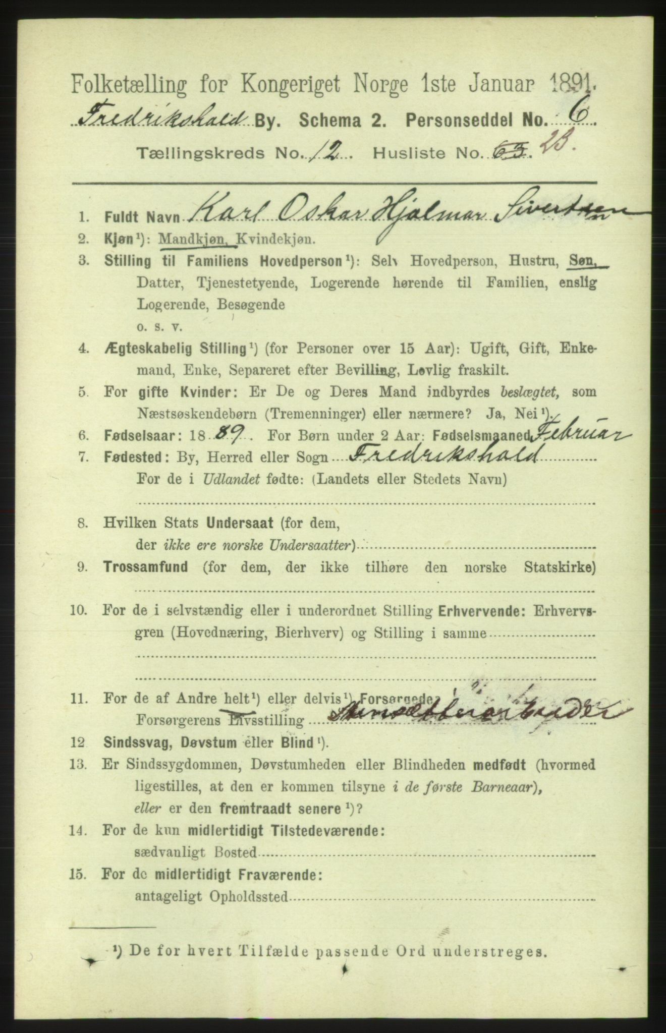 RA, 1891 census for 0101 Fredrikshald, 1891, p. 8568