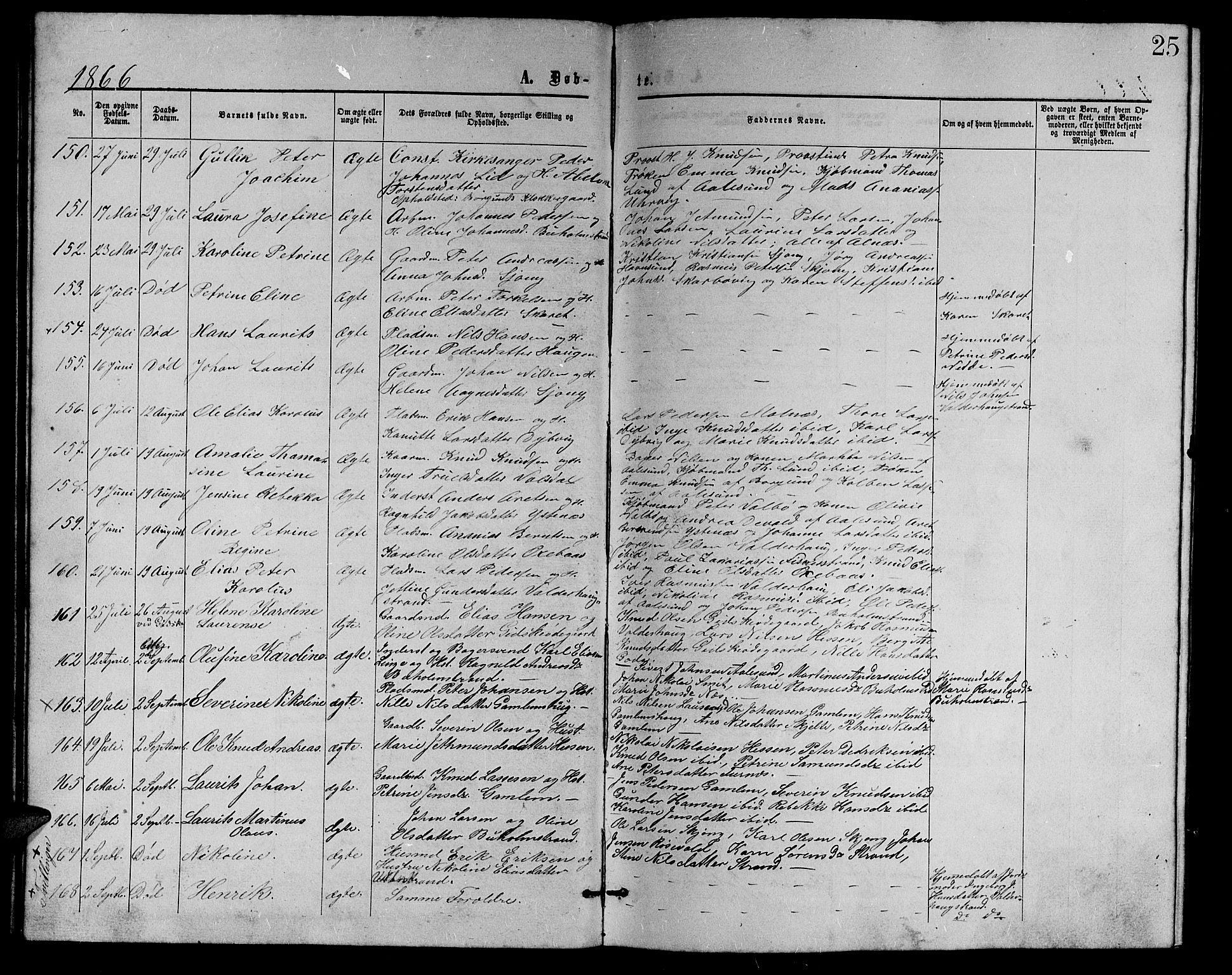 Ministerialprotokoller, klokkerbøker og fødselsregistre - Møre og Romsdal, AV/SAT-A-1454/528/L0428: Parish register (copy) no. 528C09, 1864-1880, p. 25