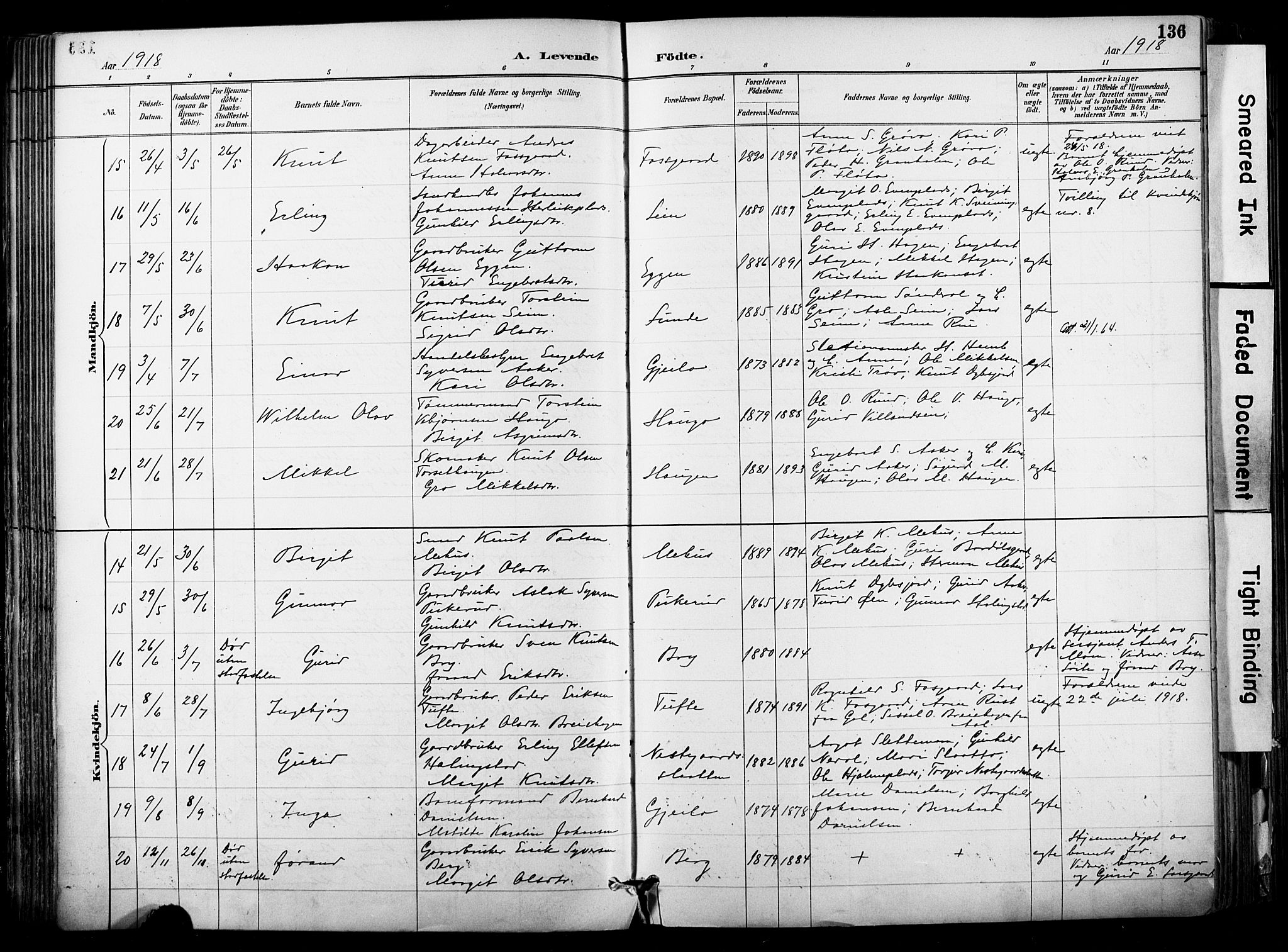 Hol kirkebøker, AV/SAKO-A-227/F/Fa/L0003: Parish register (official) no. I 3, 1887-1918, p. 136