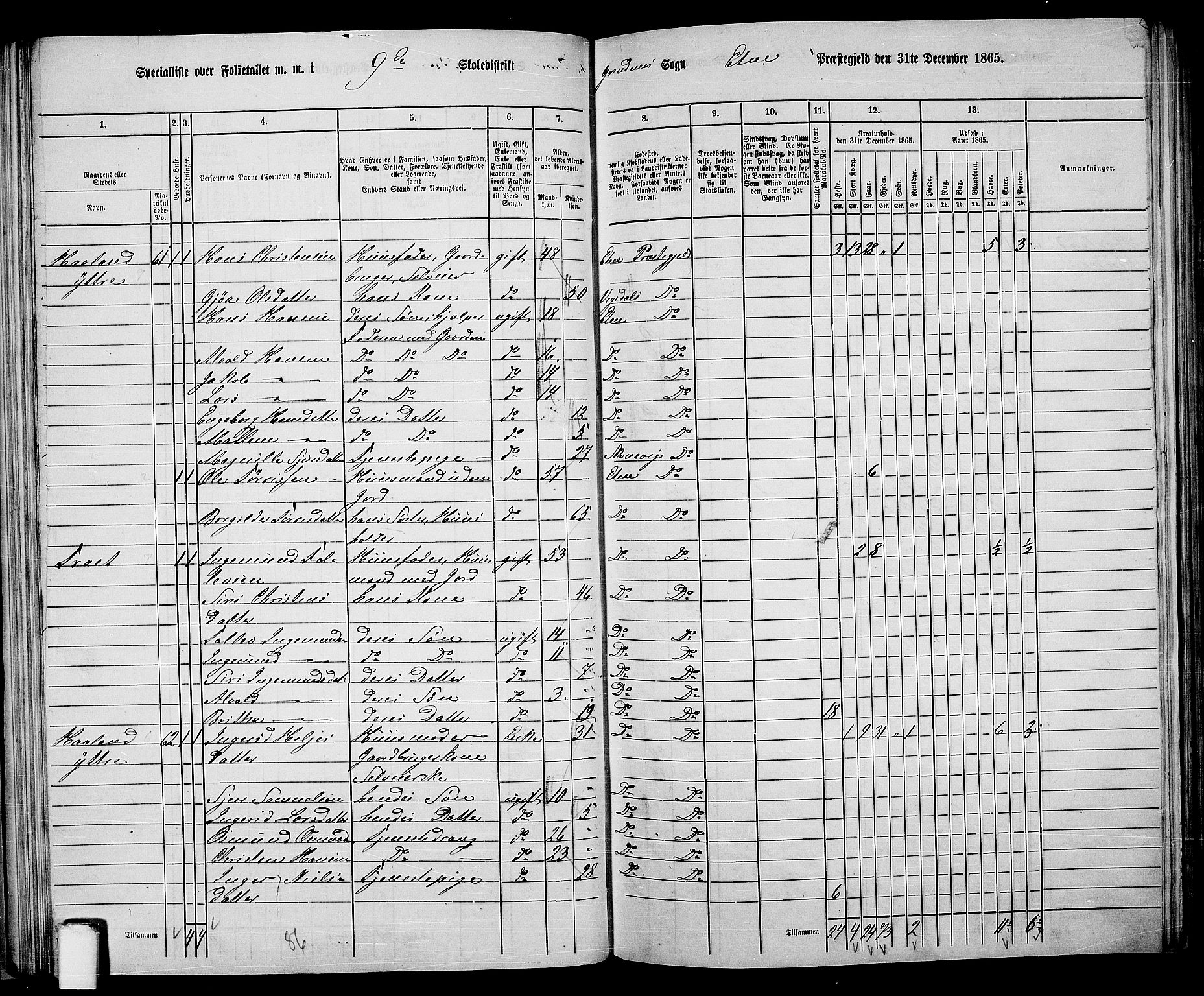 RA, 1865 census for Etne, 1865, p. 58