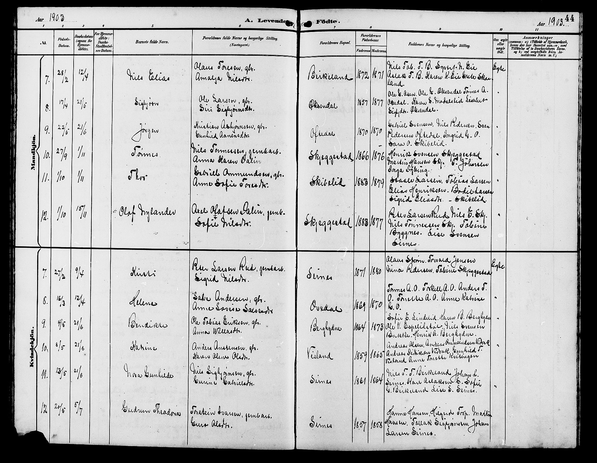 Bakke sokneprestkontor, SAK/1111-0002/F/Fb/Fba/L0003: Parish register (copy) no. B 3, 1894-1910, p. 44