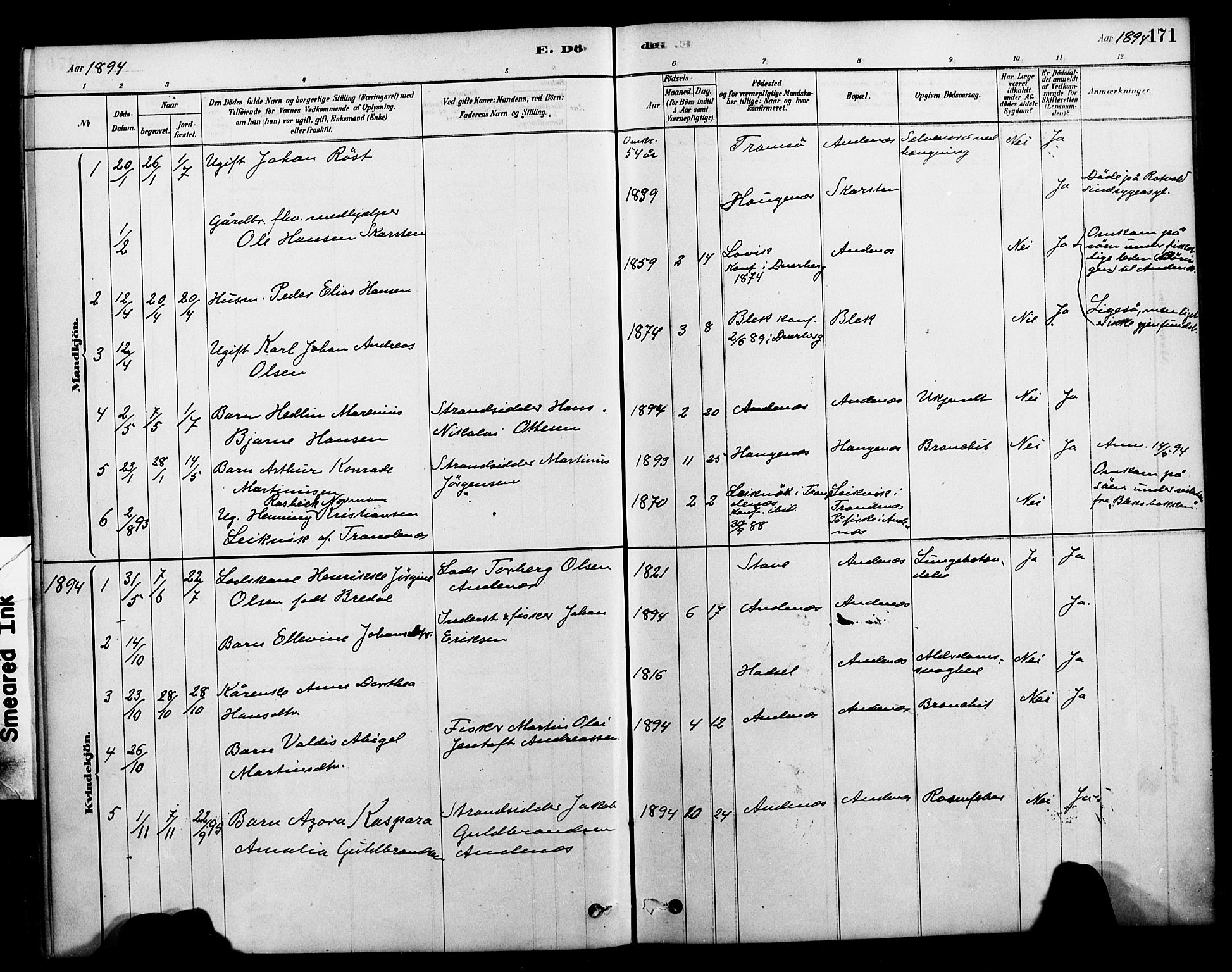 Ministerialprotokoller, klokkerbøker og fødselsregistre - Nordland, AV/SAT-A-1459/899/L1436: Parish register (official) no. 899A04, 1881-1896, p. 171