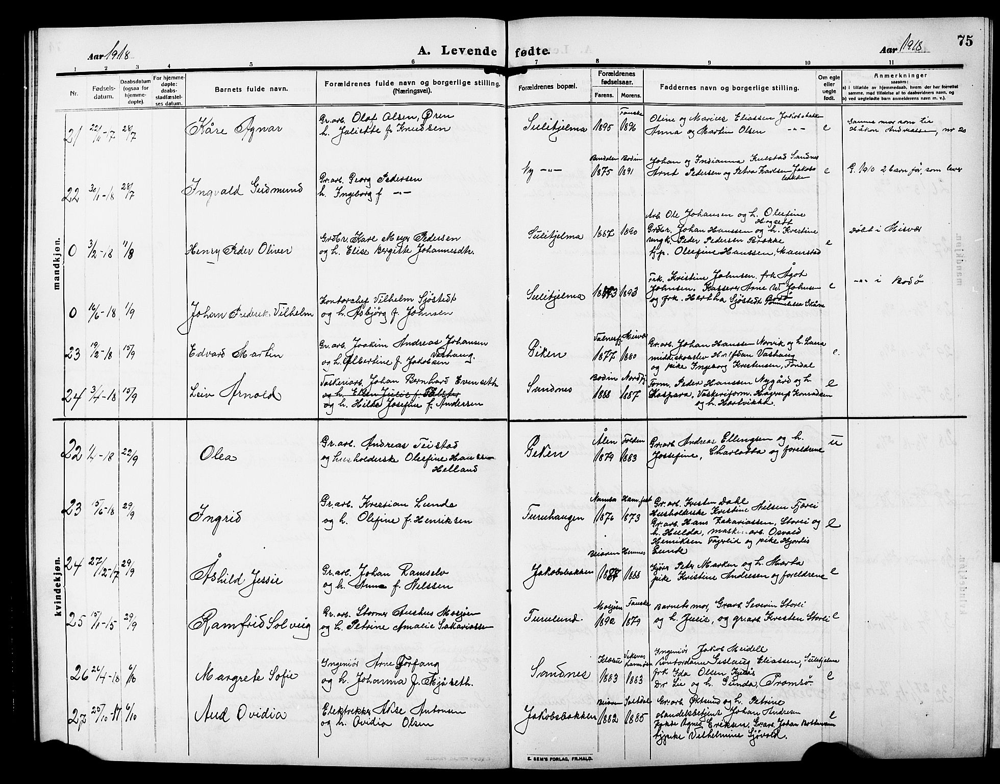 Ministerialprotokoller, klokkerbøker og fødselsregistre - Nordland, AV/SAT-A-1459/850/L0710: Parish register (official) no. 850A02, 1910-1920, p. 75