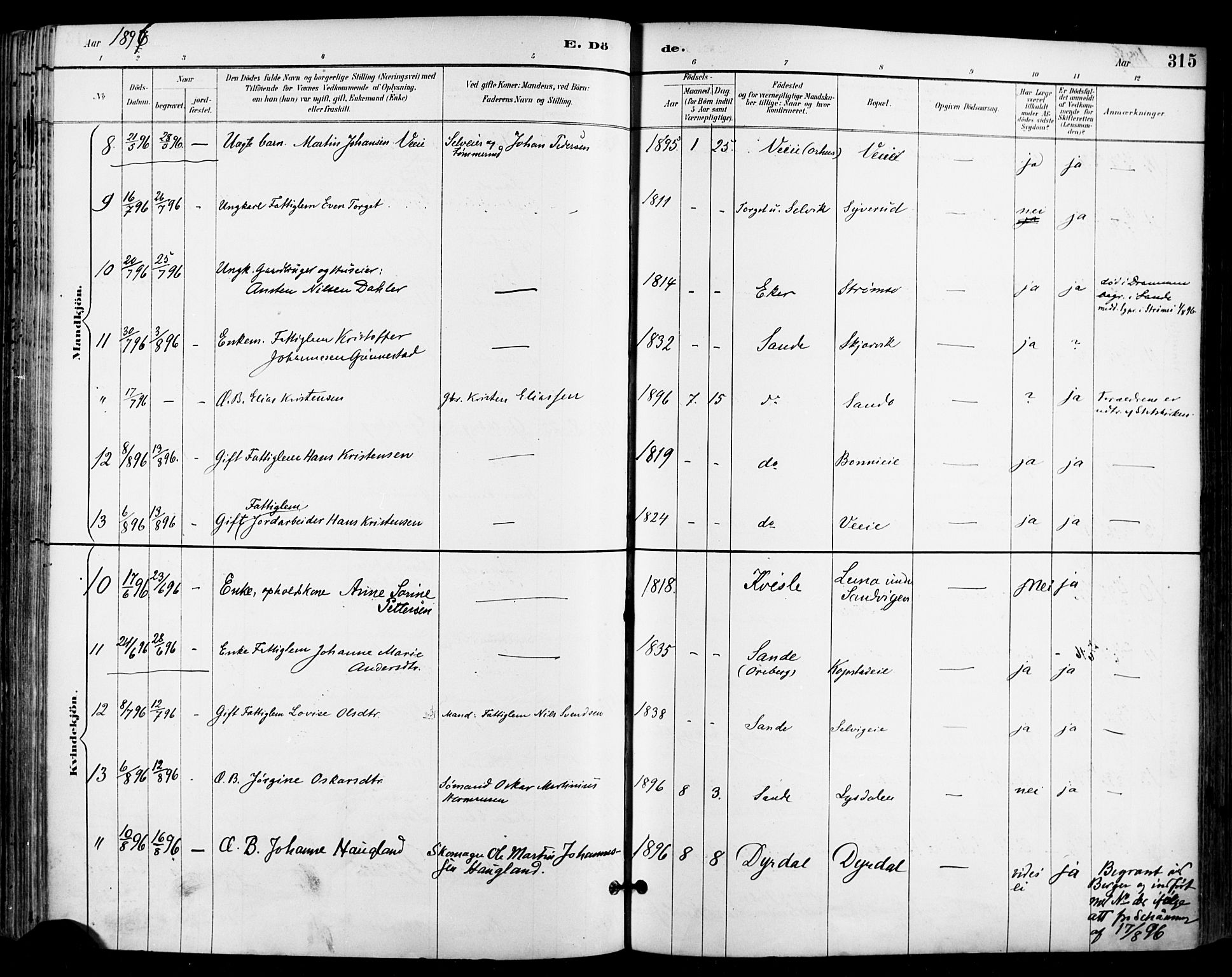 Sande Kirkebøker, AV/SAKO-A-53/F/Fa/L0007: Parish register (official) no. 7, 1888-1903, p. 315