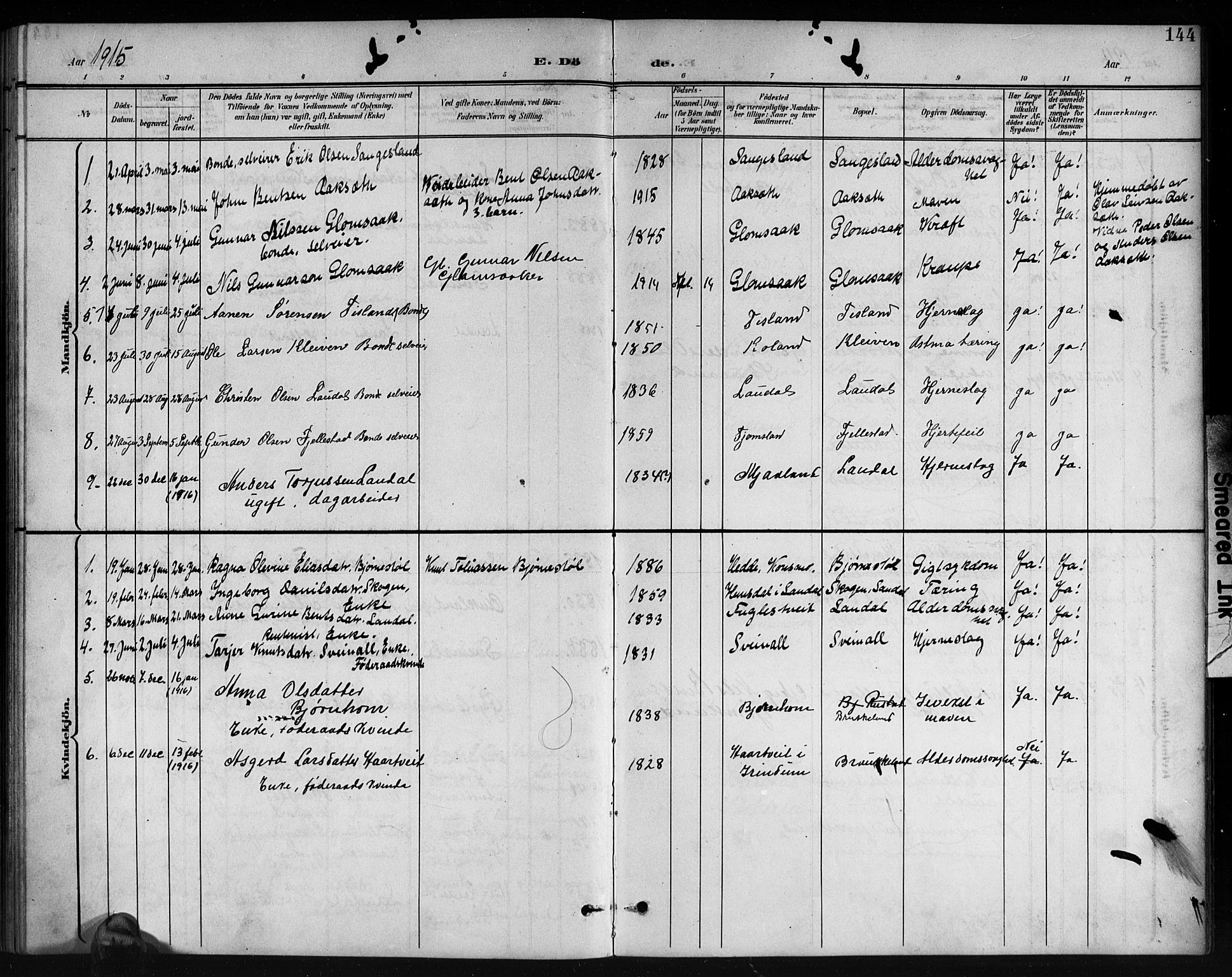 Holum sokneprestkontor, AV/SAK-1111-0022/F/Fb/Fbb/L0004: Parish register (copy) no. B 4, 1899-1920, p. 144