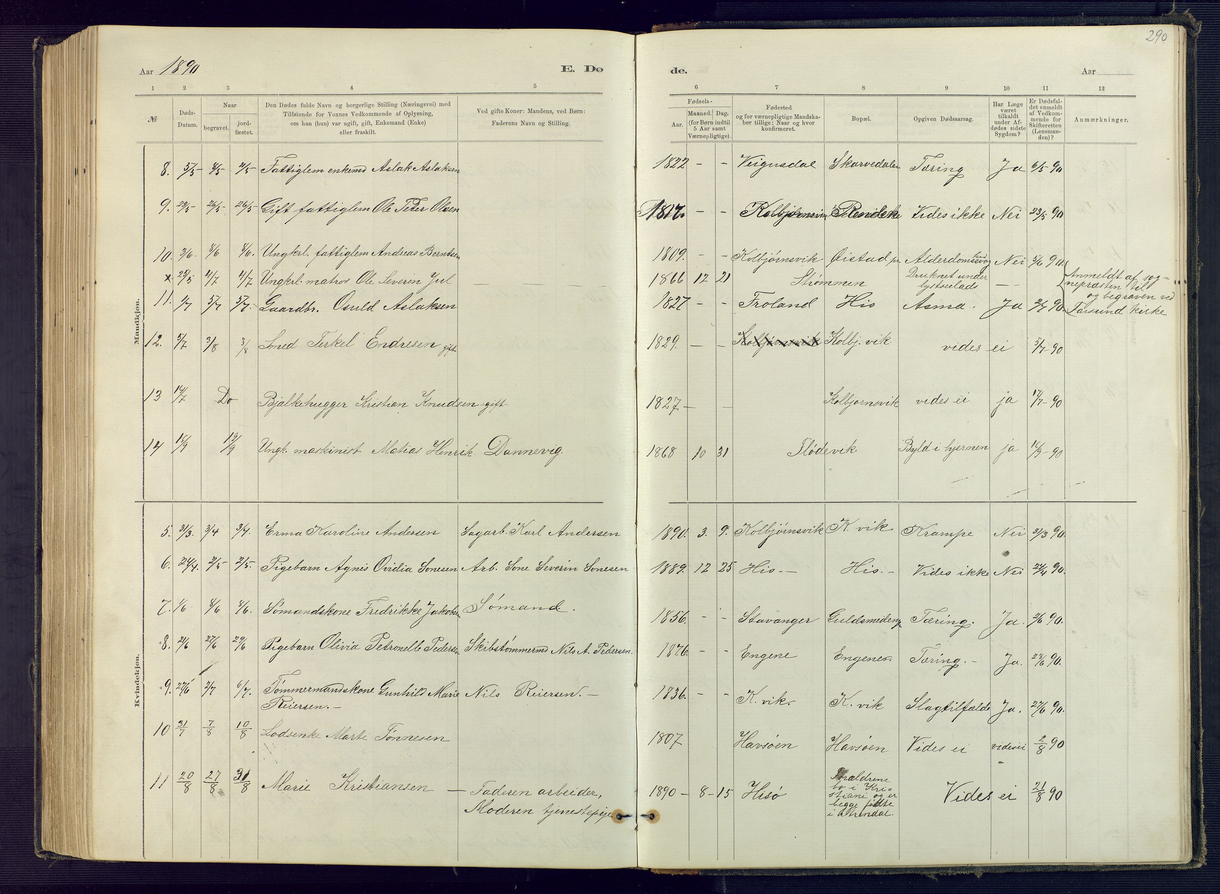 Hisøy sokneprestkontor, SAK/1111-0020/F/Fb/L0003: Parish register (copy) no. B 3, 1885-1905, p. 290