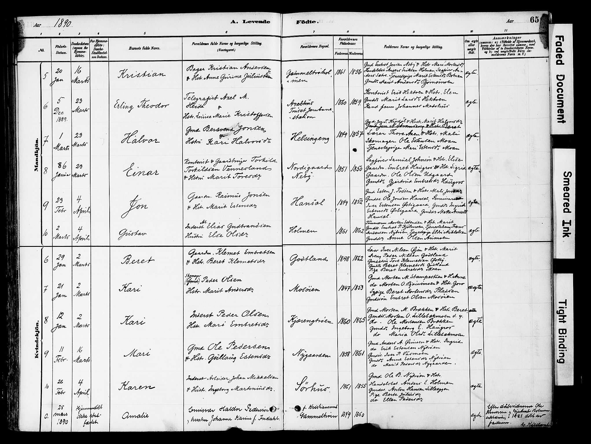 Tynset prestekontor, SAH/PREST-058/H/Ha/Haa/L0022: Parish register (official) no. 22, 1880-1899, p. 65