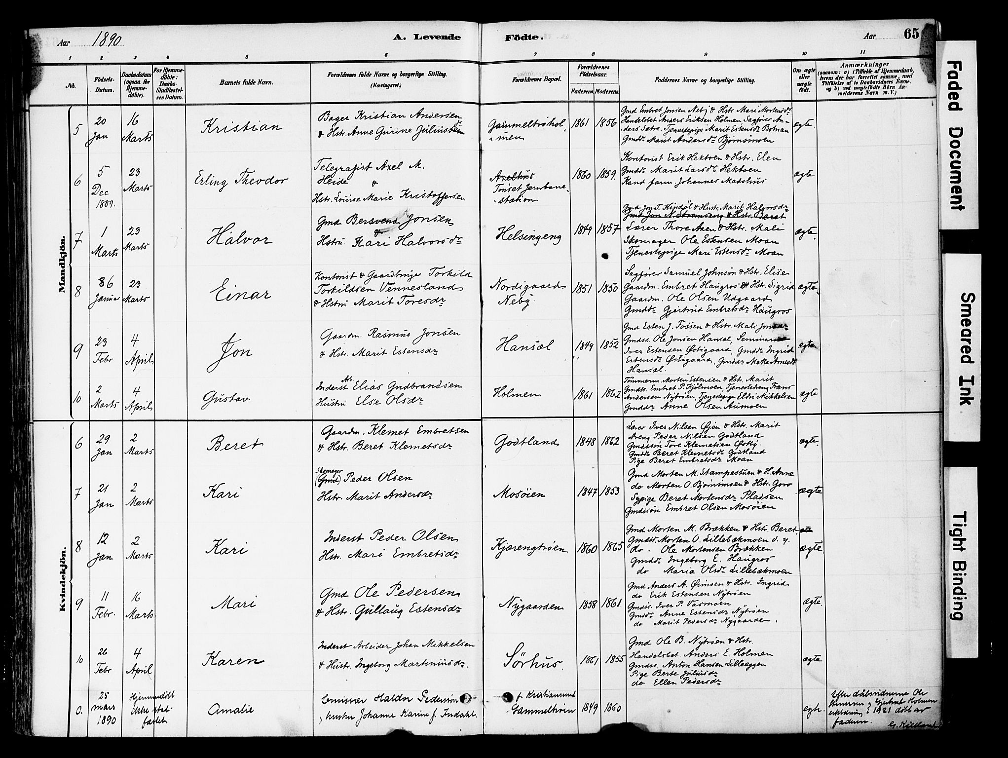 Tynset prestekontor, AV/SAH-PREST-058/H/Ha/Haa/L0022: Parish register (official) no. 22, 1880-1899, p. 65