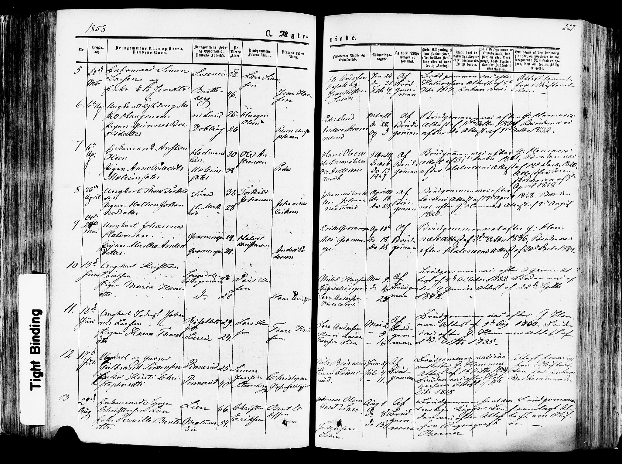 Vang prestekontor, Hedmark, SAH/PREST-008/H/Ha/Haa/L0013: Parish register (official) no. 13, 1855-1879, p. 227