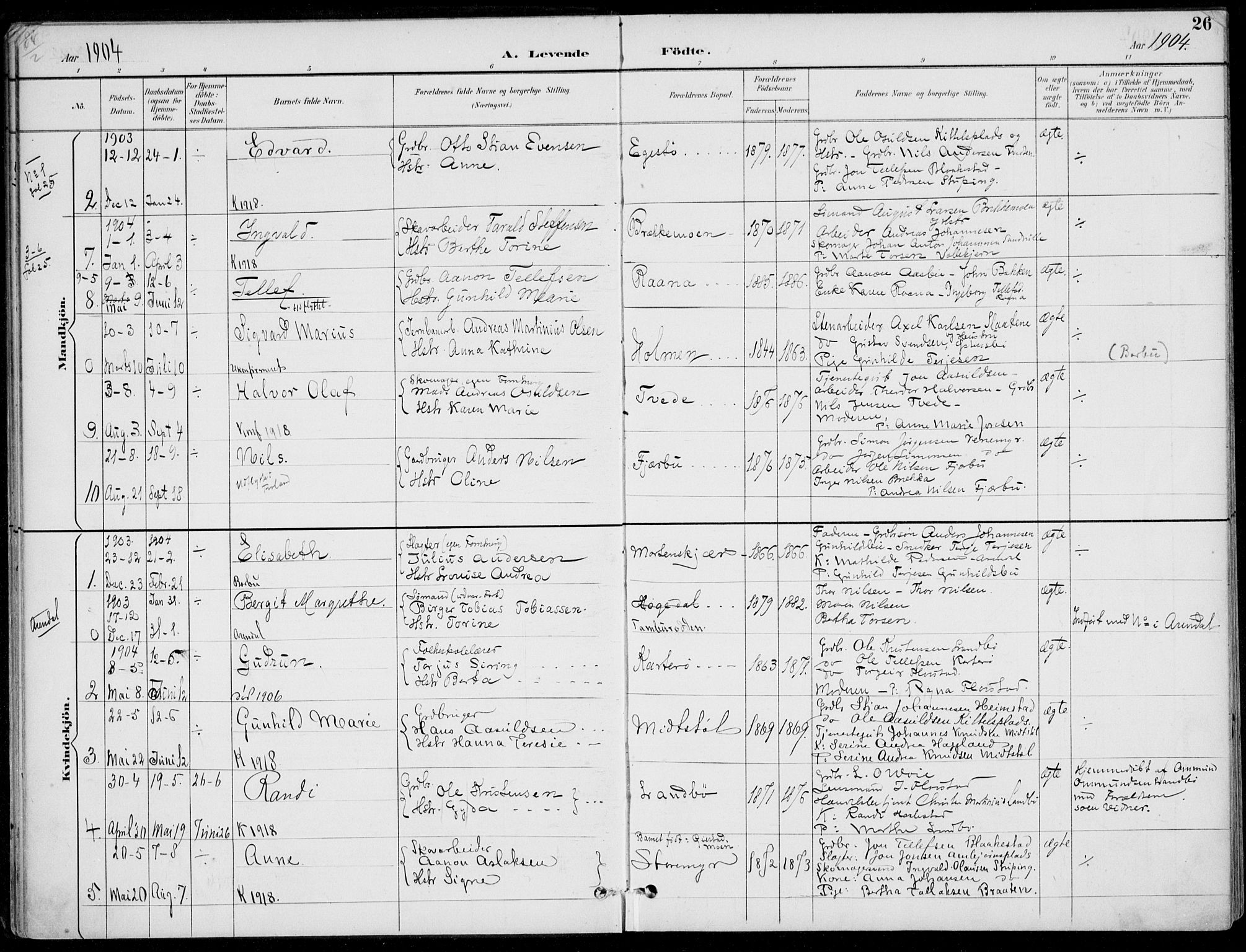 Austre Moland sokneprestkontor, AV/SAK-1111-0001/F/Fa/Faa/L0011: Parish register (official) no. A 11, 1894-1915, p. 26