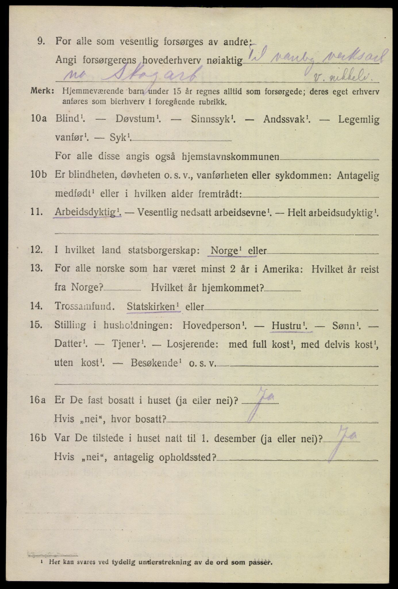 SAK, 1920 census for Hornnes, 1920, p. 1000