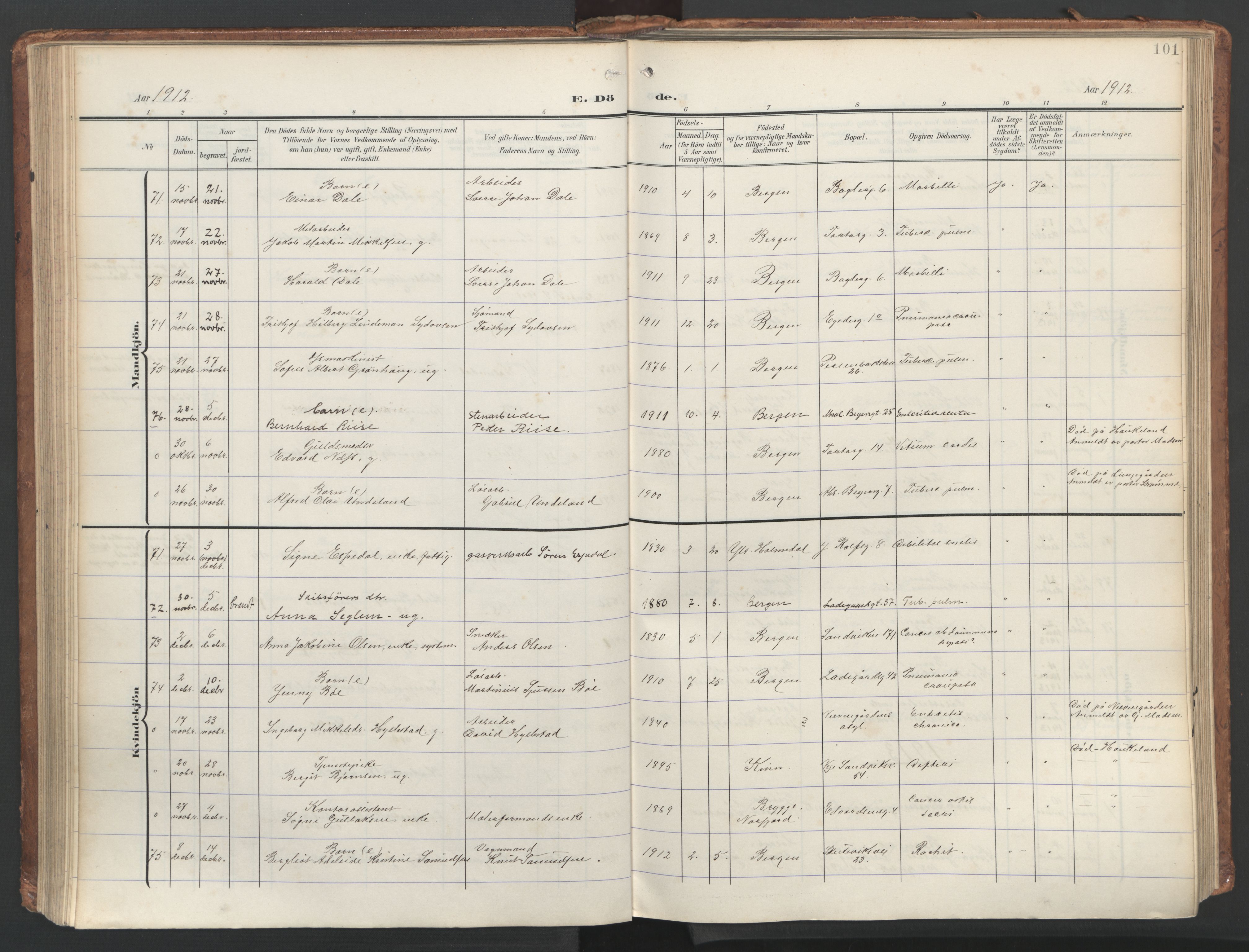 Sandviken Sokneprestembete, AV/SAB-A-77601/H/Ha/L0019: Parish register (official) no. E 2, 1905-1933, p. 101