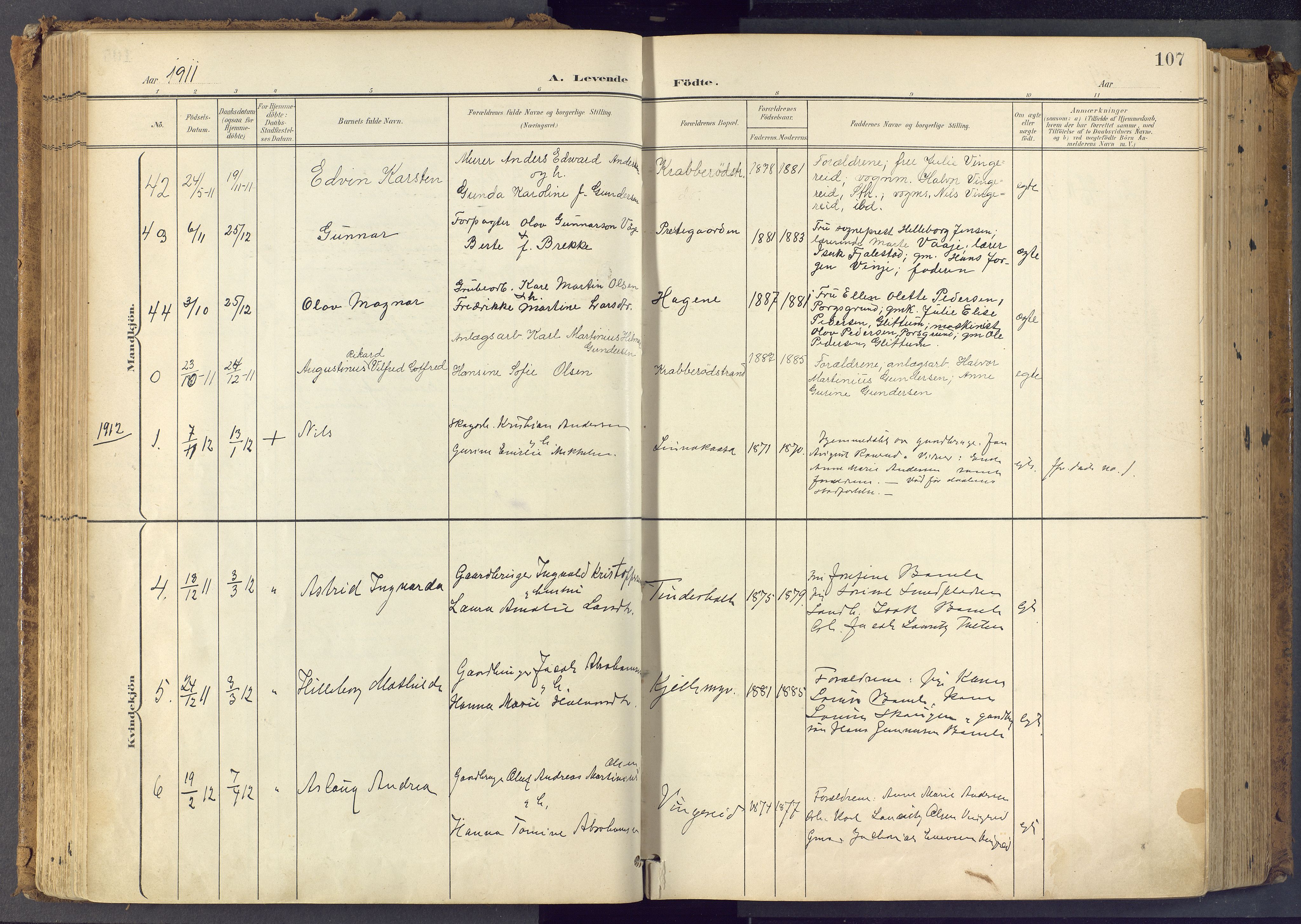 Bamble kirkebøker, SAKO/A-253/F/Fa/L0009: Parish register (official) no. I 9, 1901-1917, p. 107