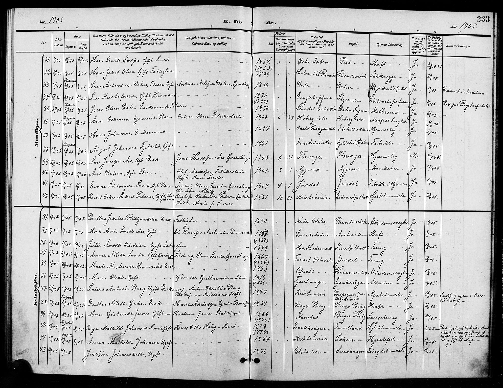 Eidsvoll prestekontor Kirkebøker, SAO/A-10888/G/Ga/L0007: Parish register (copy) no. I 7, 1901-1909, p. 233