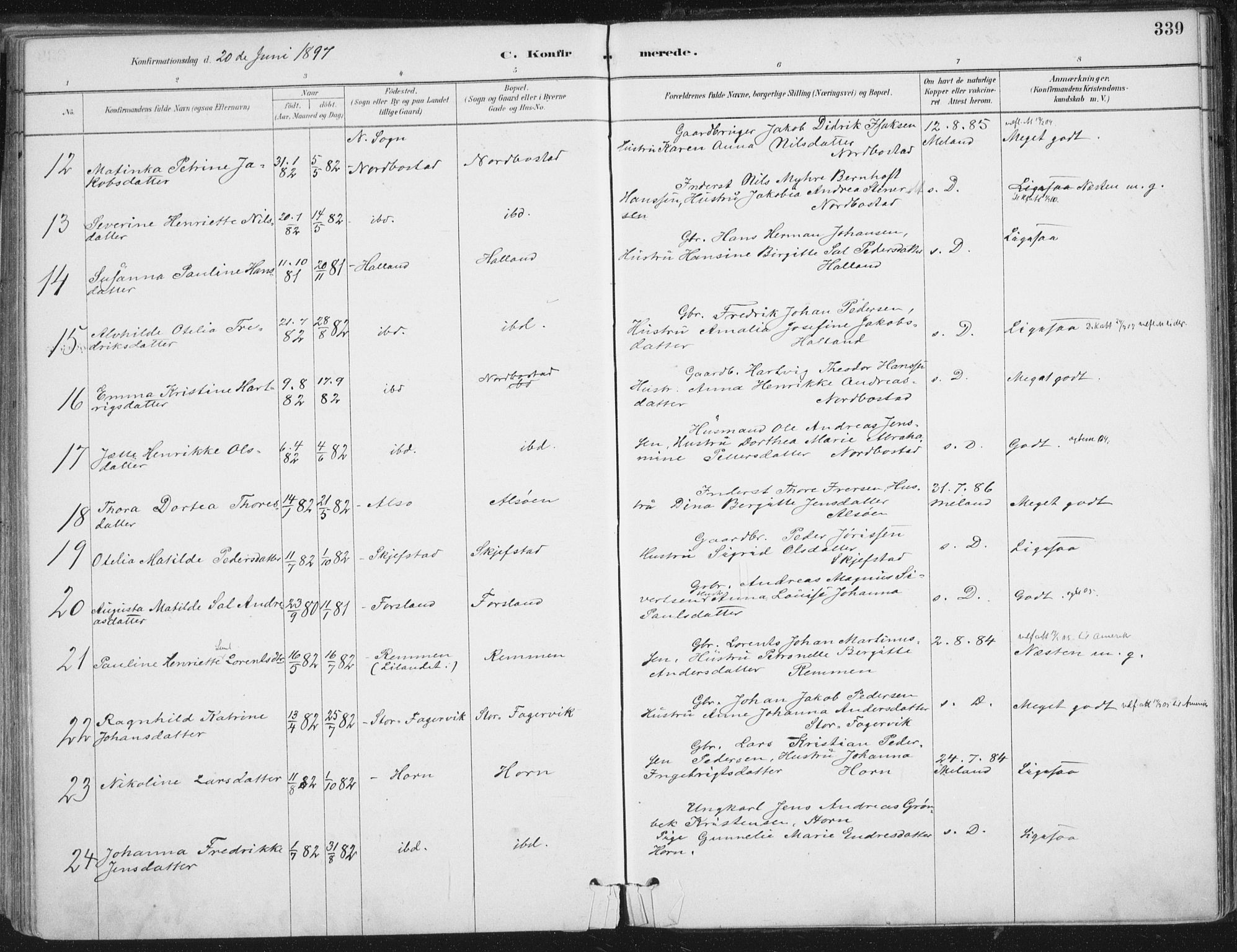 Ministerialprotokoller, klokkerbøker og fødselsregistre - Nordland, AV/SAT-A-1459/838/L0552: Parish register (official) no. 838A10, 1880-1910, p. 339