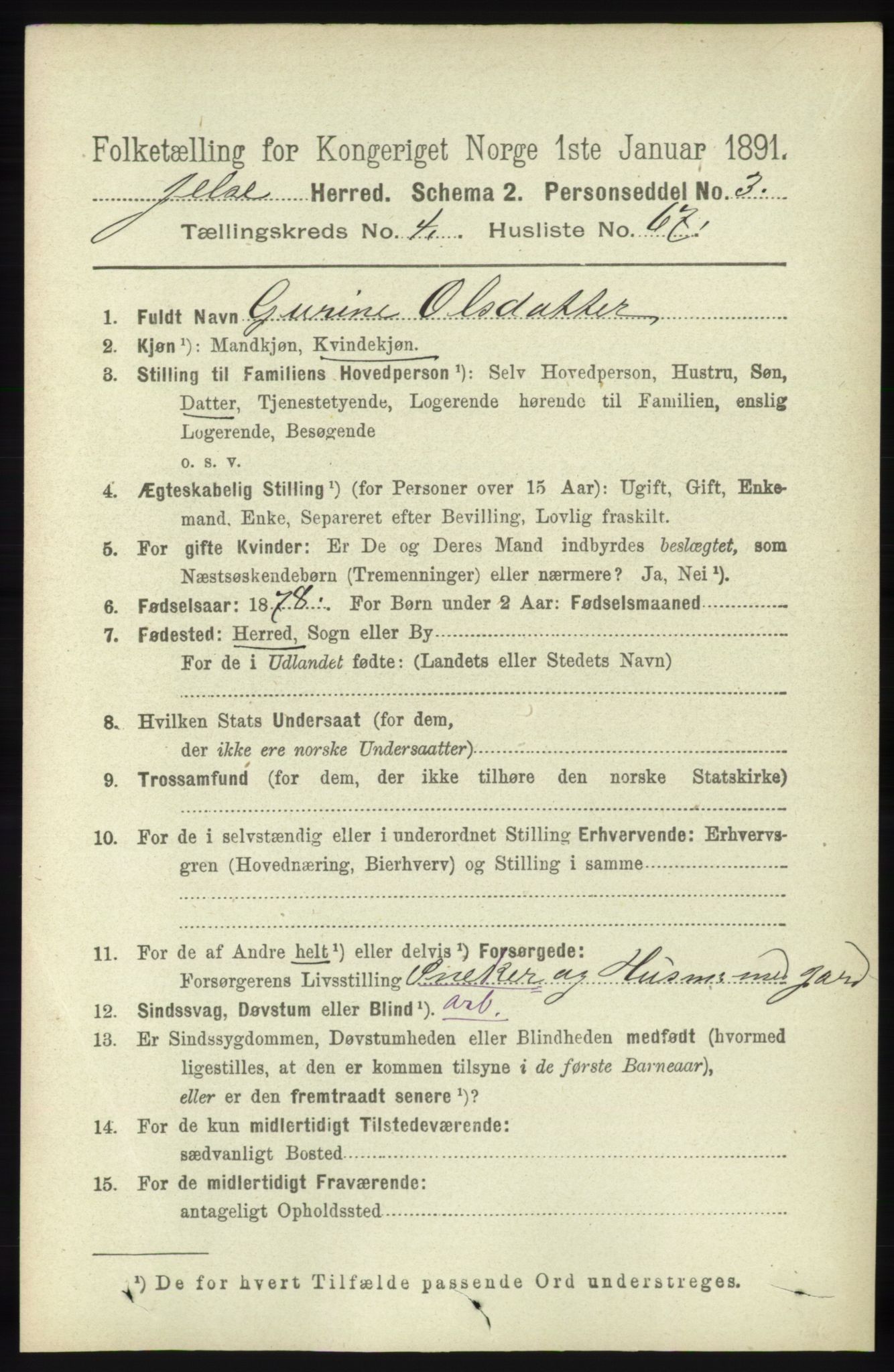 RA, 1891 census for 1138 Jelsa, 1891, p. 1026