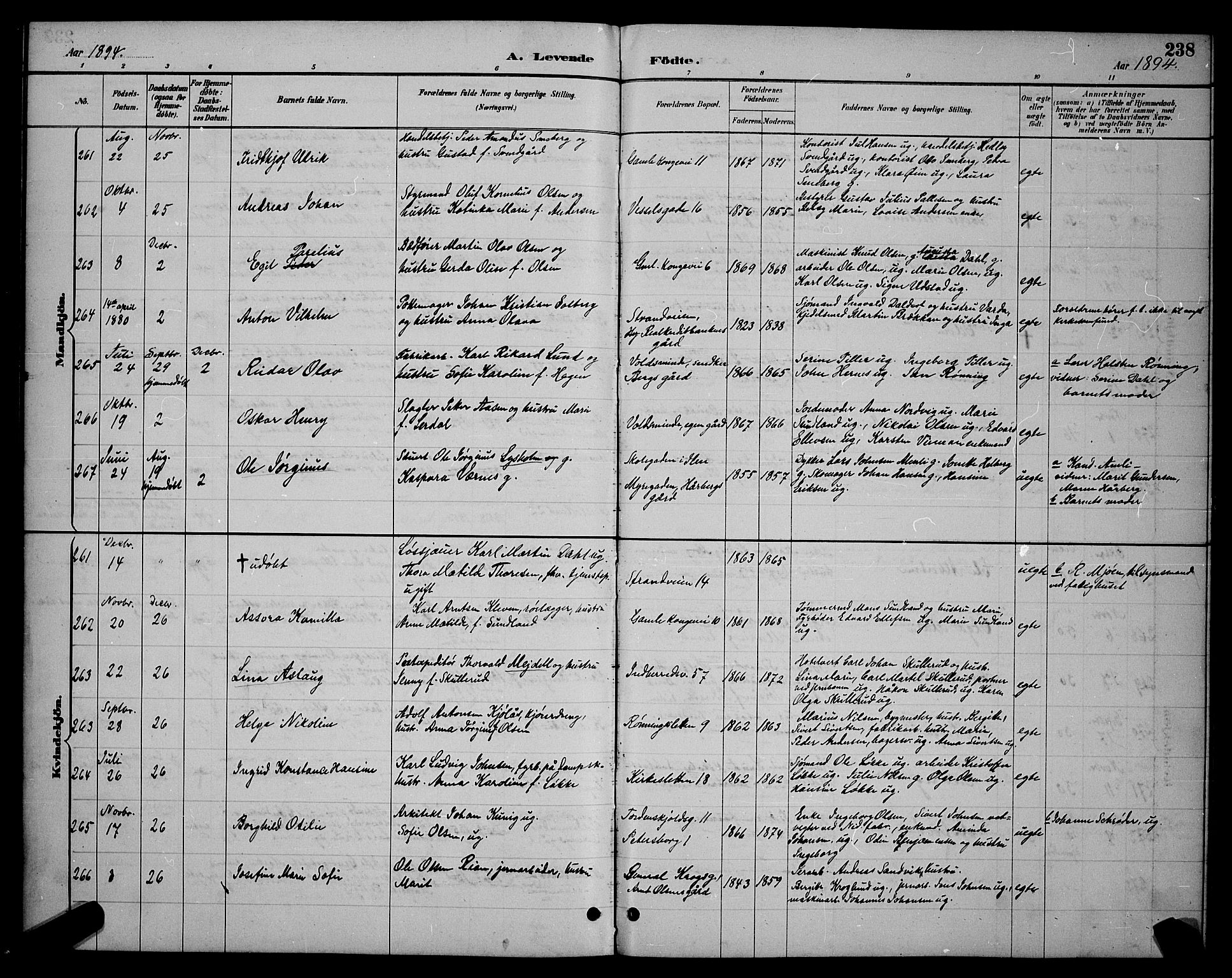 Ministerialprotokoller, klokkerbøker og fødselsregistre - Sør-Trøndelag, AV/SAT-A-1456/604/L0222: Parish register (copy) no. 604C05, 1886-1895, p. 238