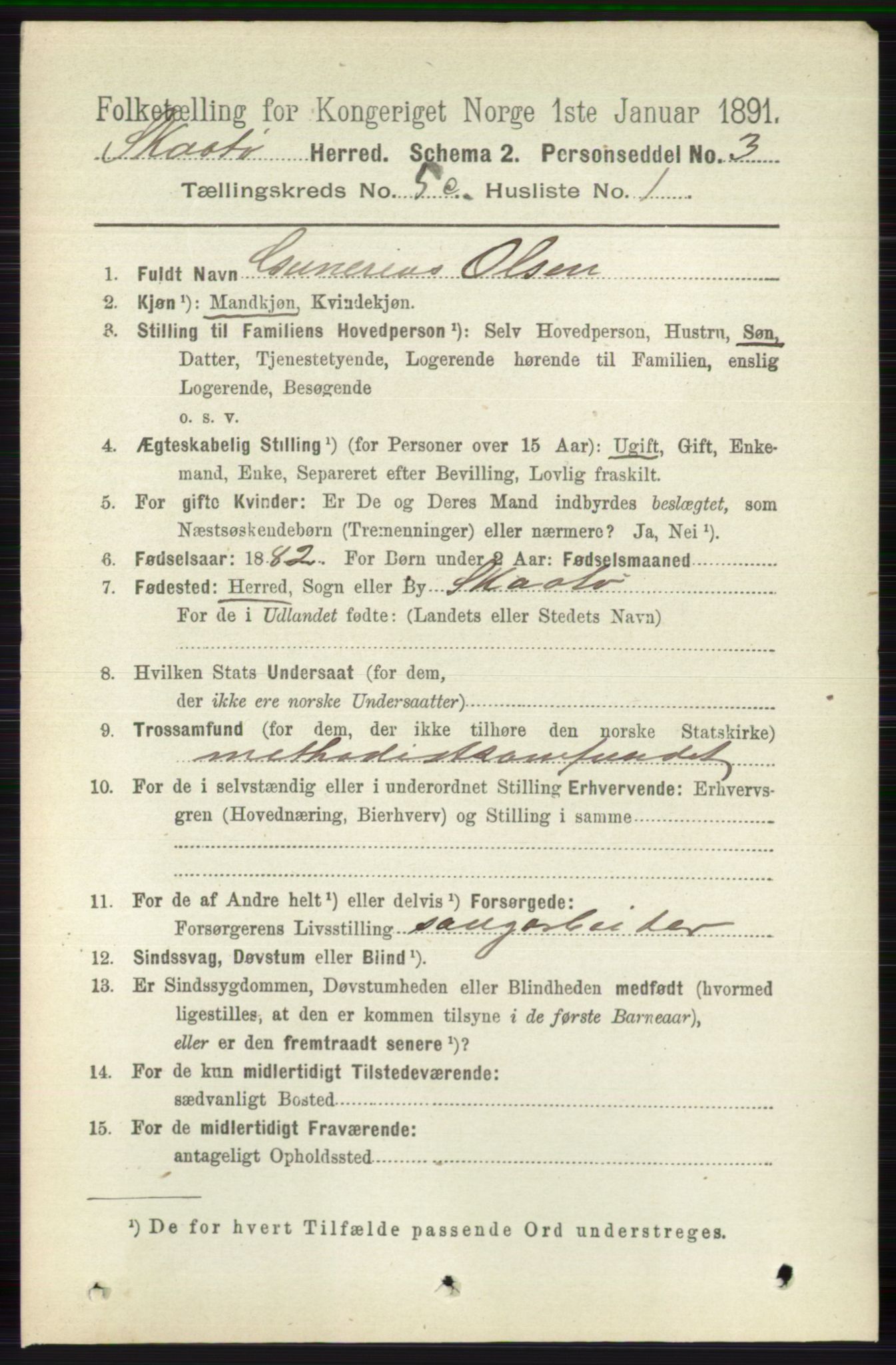 RA, 1891 census for 0815 Skåtøy, 1891, p. 2676