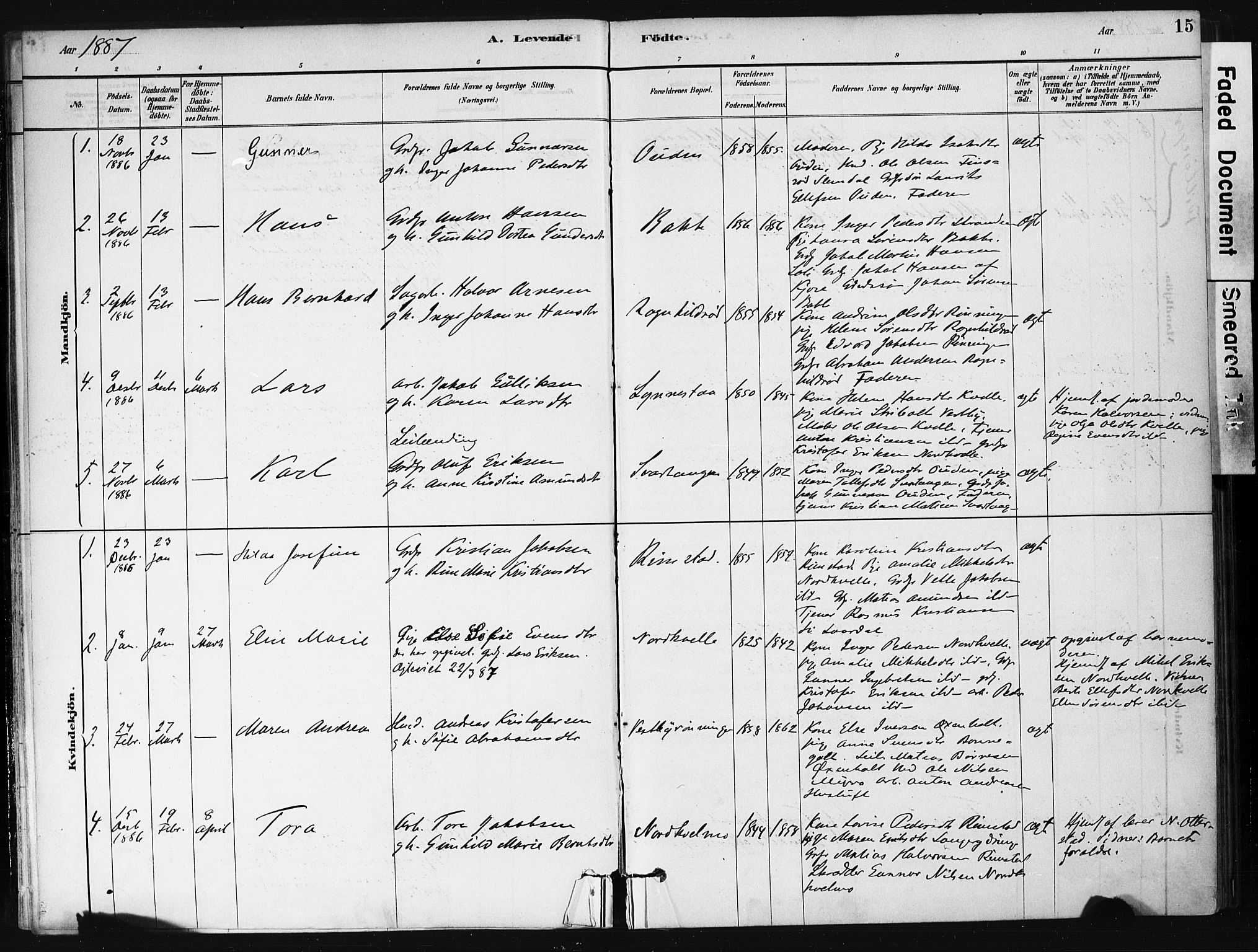 Hedrum kirkebøker, SAKO/A-344/F/Fb/L0001: Parish register (official) no. II 1, 1881-1905, p. 15