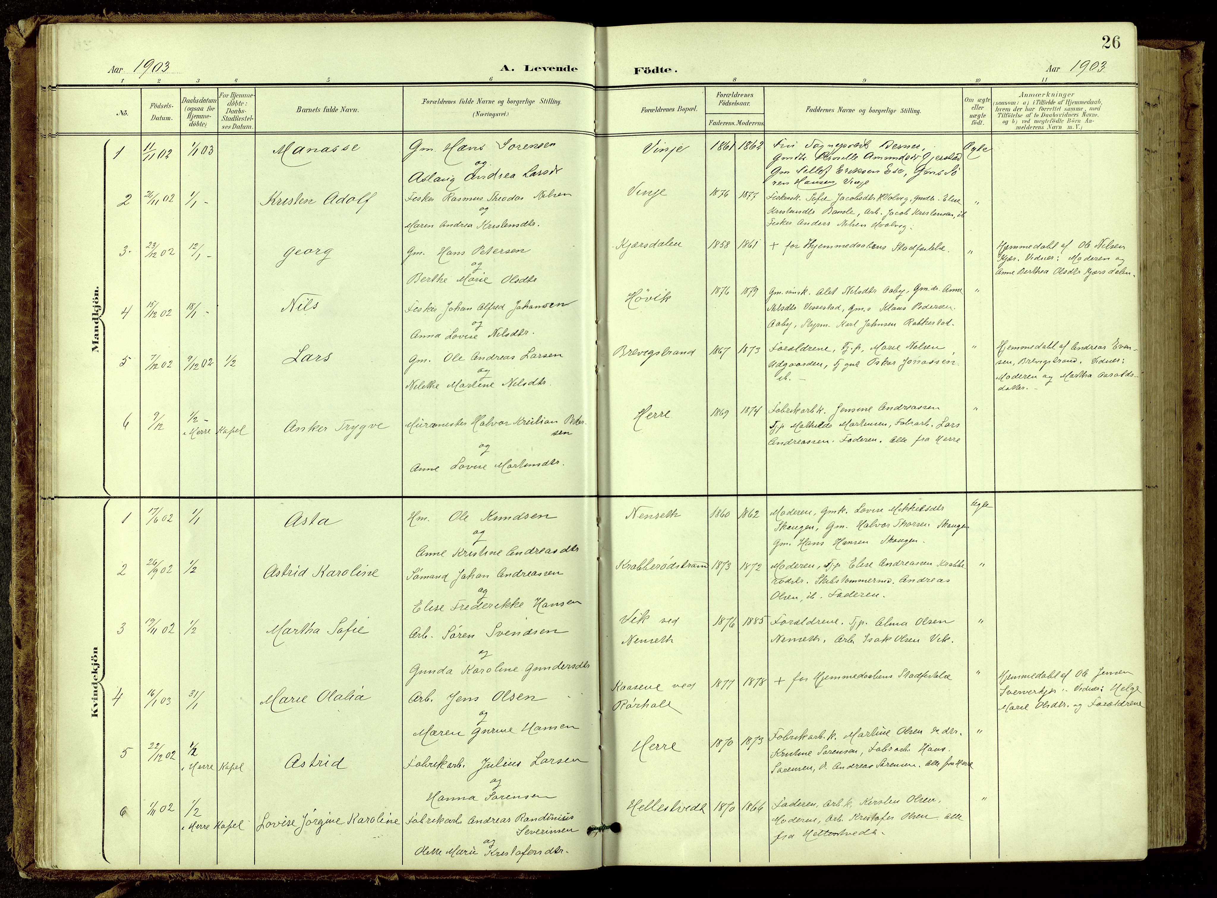 Bamble kirkebøker, SAKO/A-253/G/Ga/L0010: Parish register (copy) no. I 10, 1901-1919, p. 26