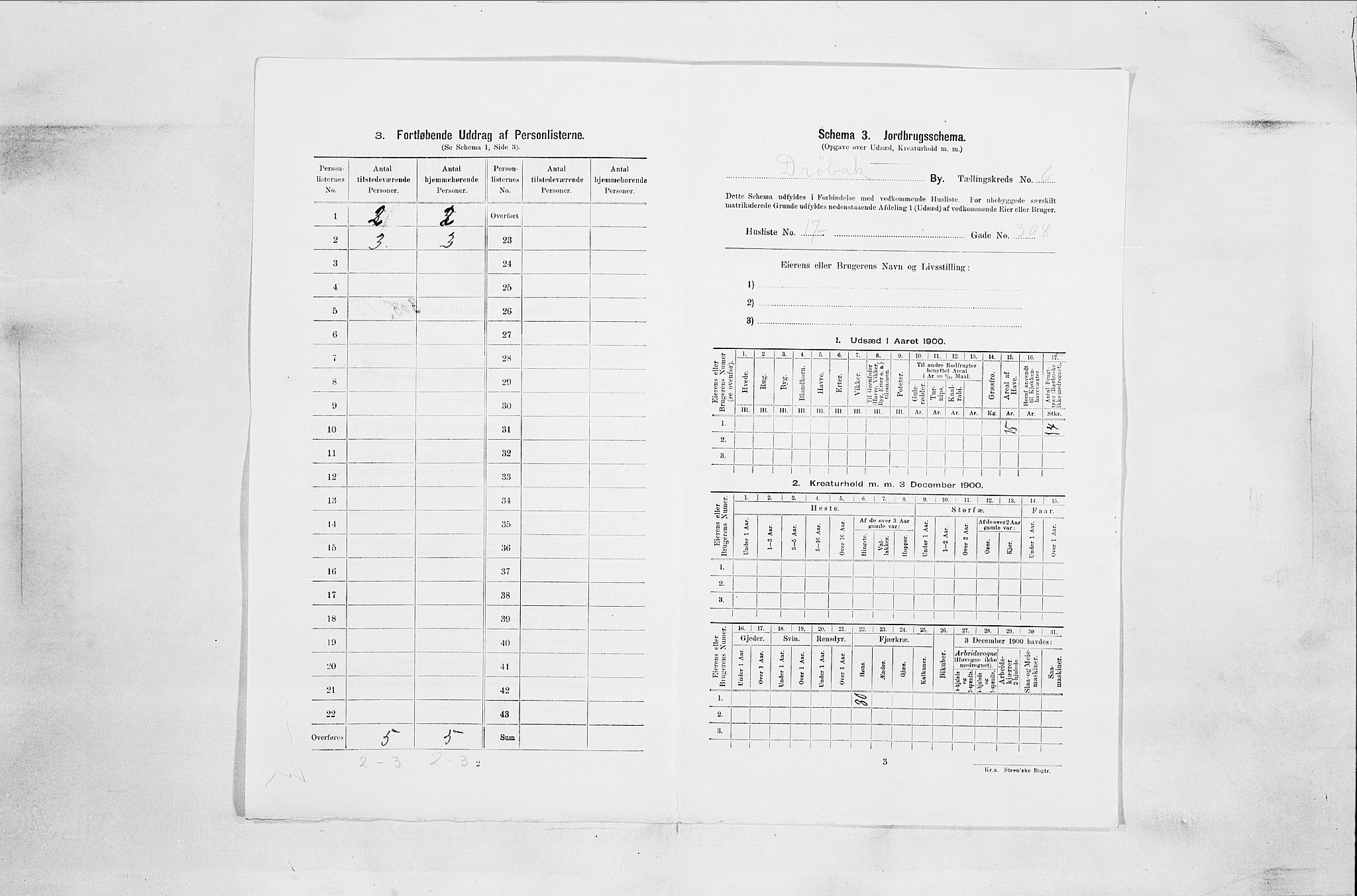 SAO, 1900 census for Drøbak, 1900