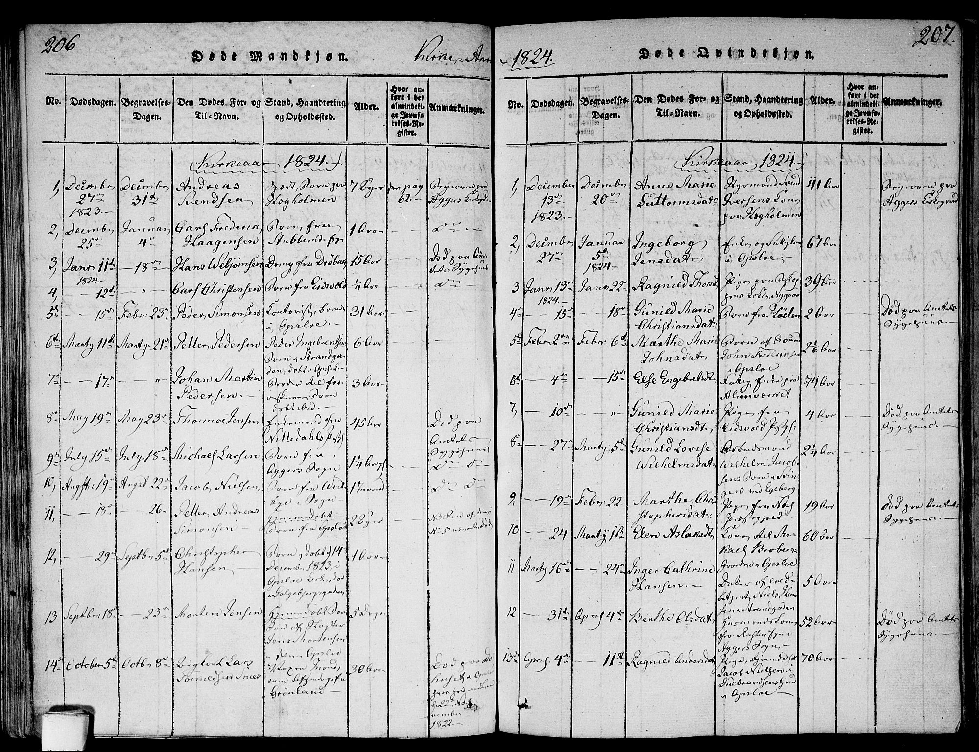 Gamlebyen prestekontor Kirkebøker, SAO/A-10884/F/Fa/L0002: Parish register (official) no. 2, 1817-1829, p. 206-207