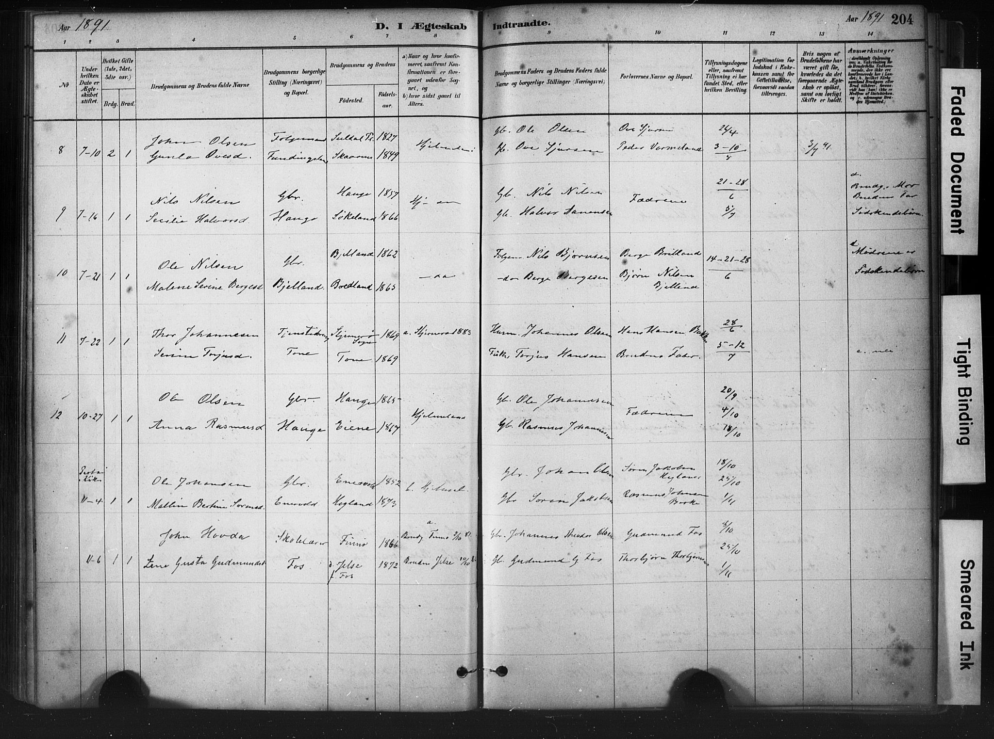 Hjelmeland sokneprestkontor, AV/SAST-A-101843/01/IV/L0014: Parish register (official) no. A 14, 1879-1900, p. 204