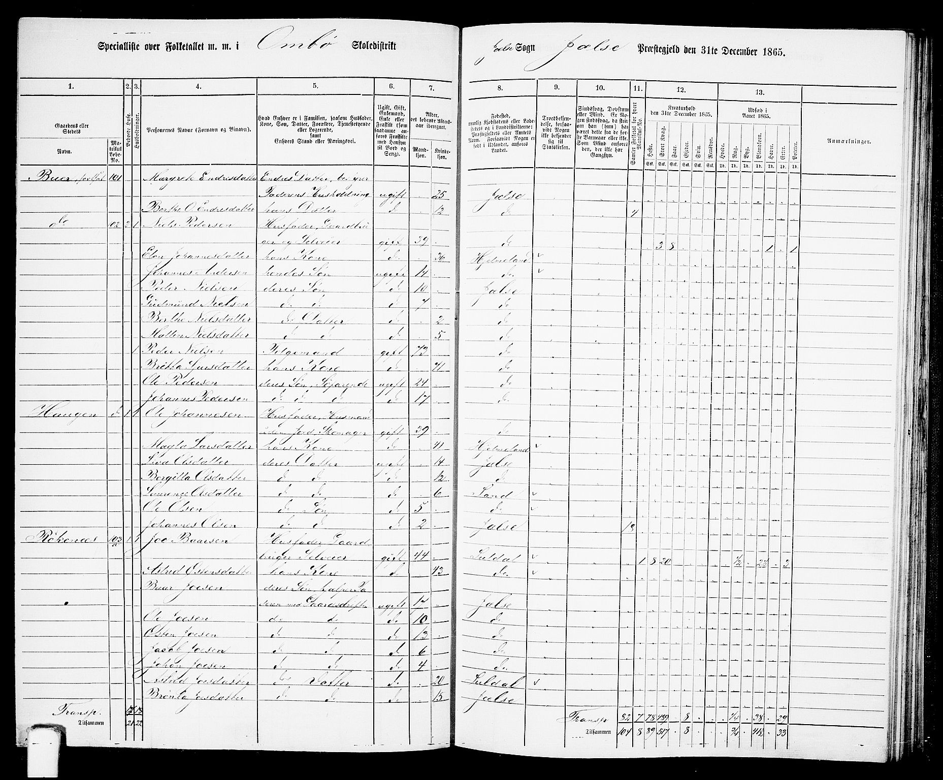 RA, 1865 census for Jelsa, 1865, p. 67