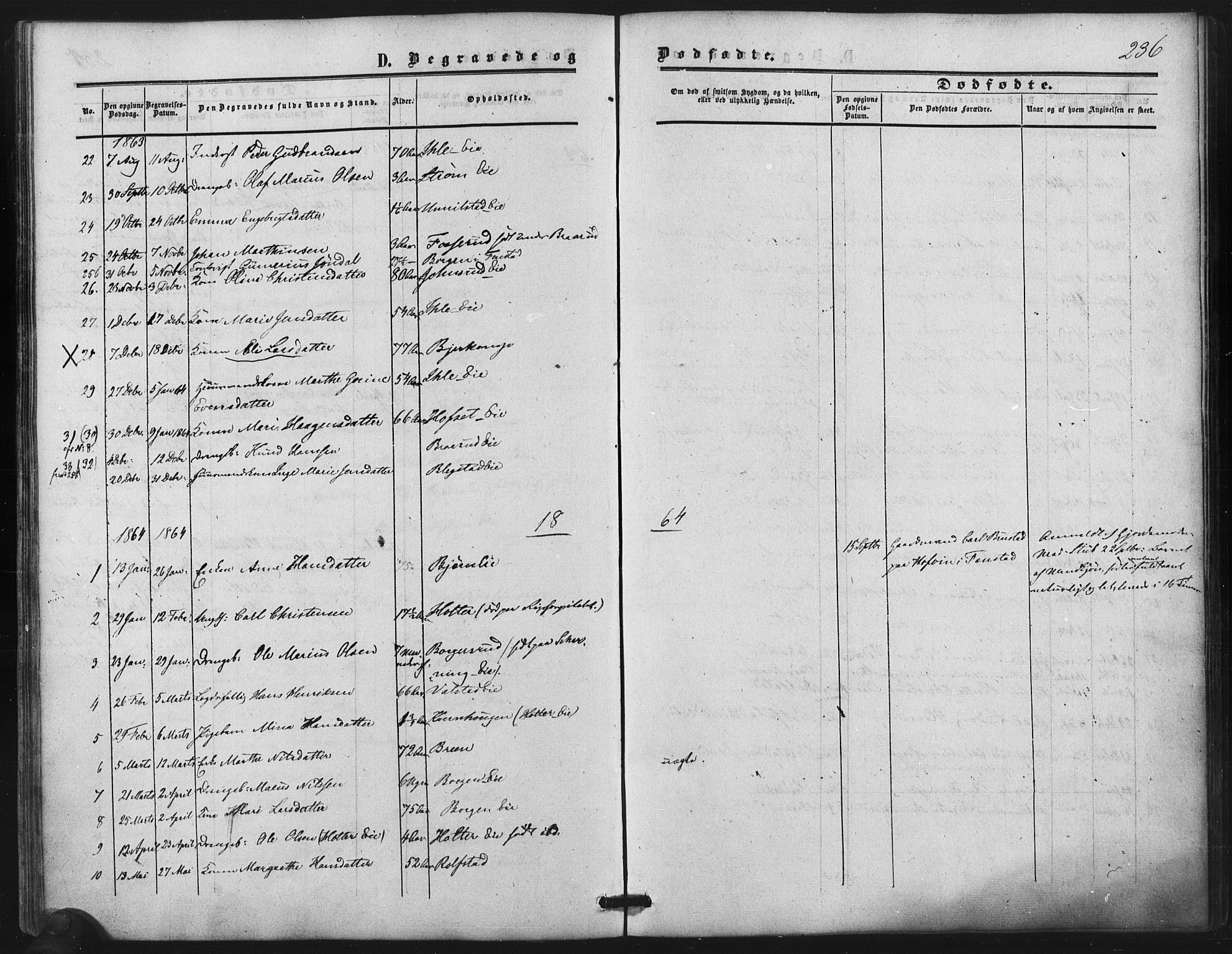 Nes prestekontor Kirkebøker, AV/SAO-A-10410/F/Fb/L0001: Parish register (official) no. II 1, 1859-1882, p. 236