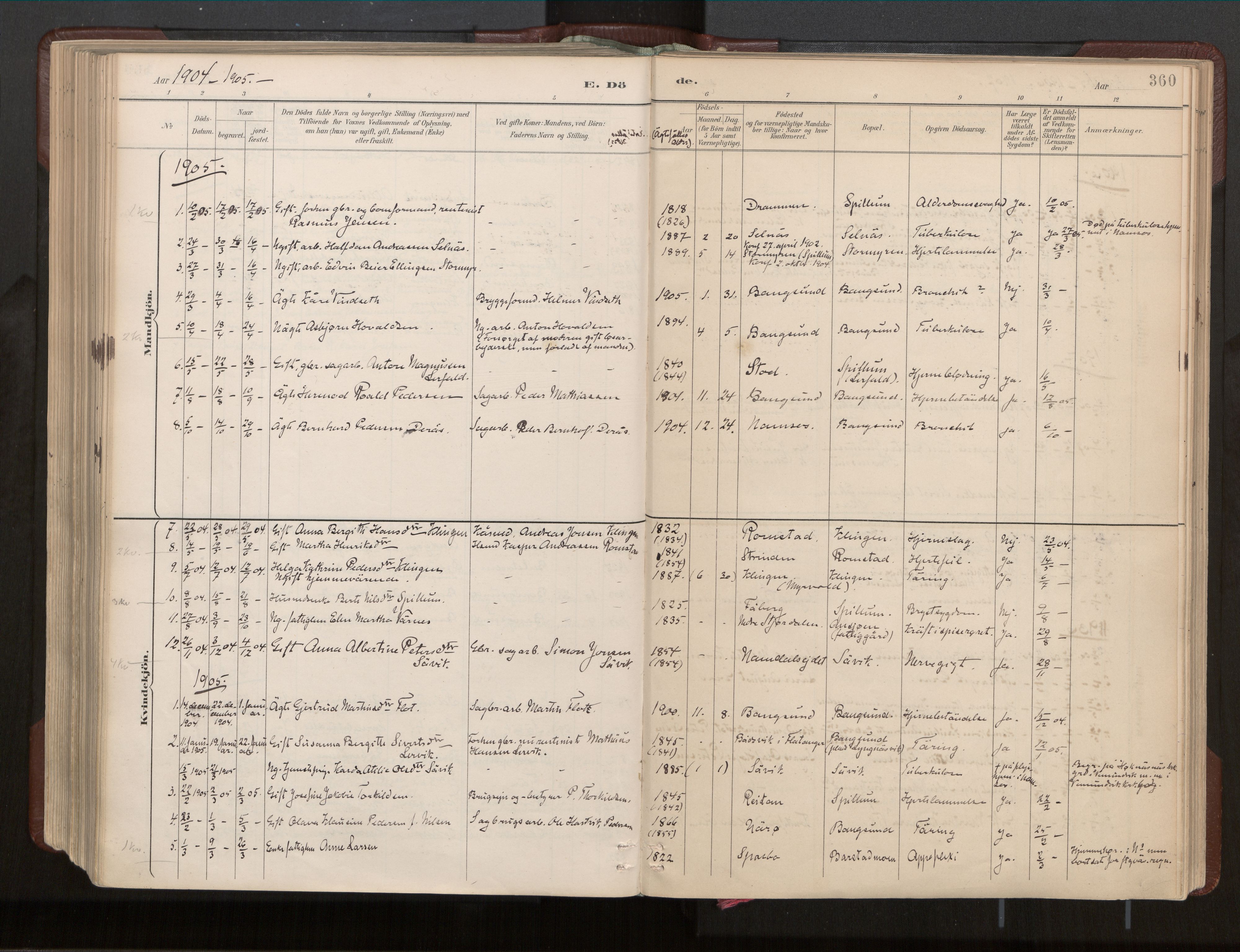 Ministerialprotokoller, klokkerbøker og fødselsregistre - Nord-Trøndelag, AV/SAT-A-1458/770/L0589: Parish register (official) no. 770A03, 1887-1929, p. 360