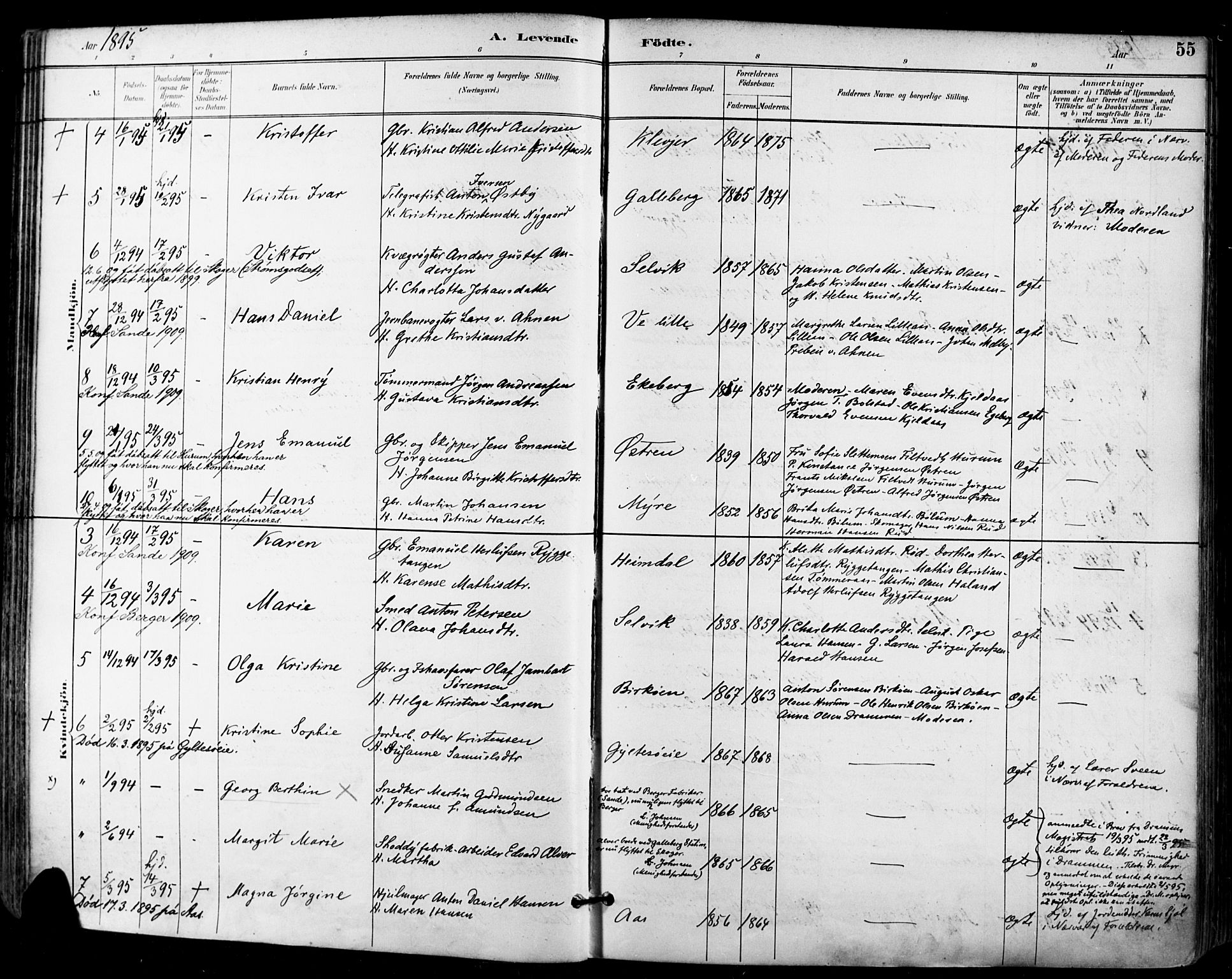 Sande Kirkebøker, SAKO/A-53/F/Fa/L0007: Parish register (official) no. 7, 1888-1903, p. 55