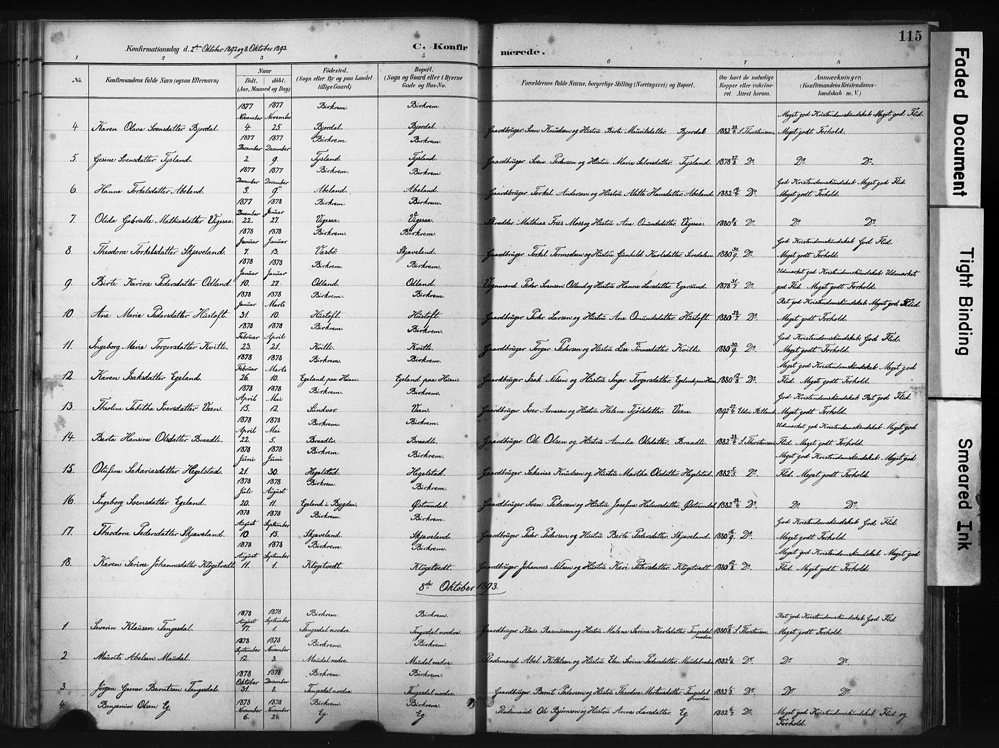 Helleland sokneprestkontor, AV/SAST-A-101810: Parish register (official) no. A 9, 1887-1908, p. 115