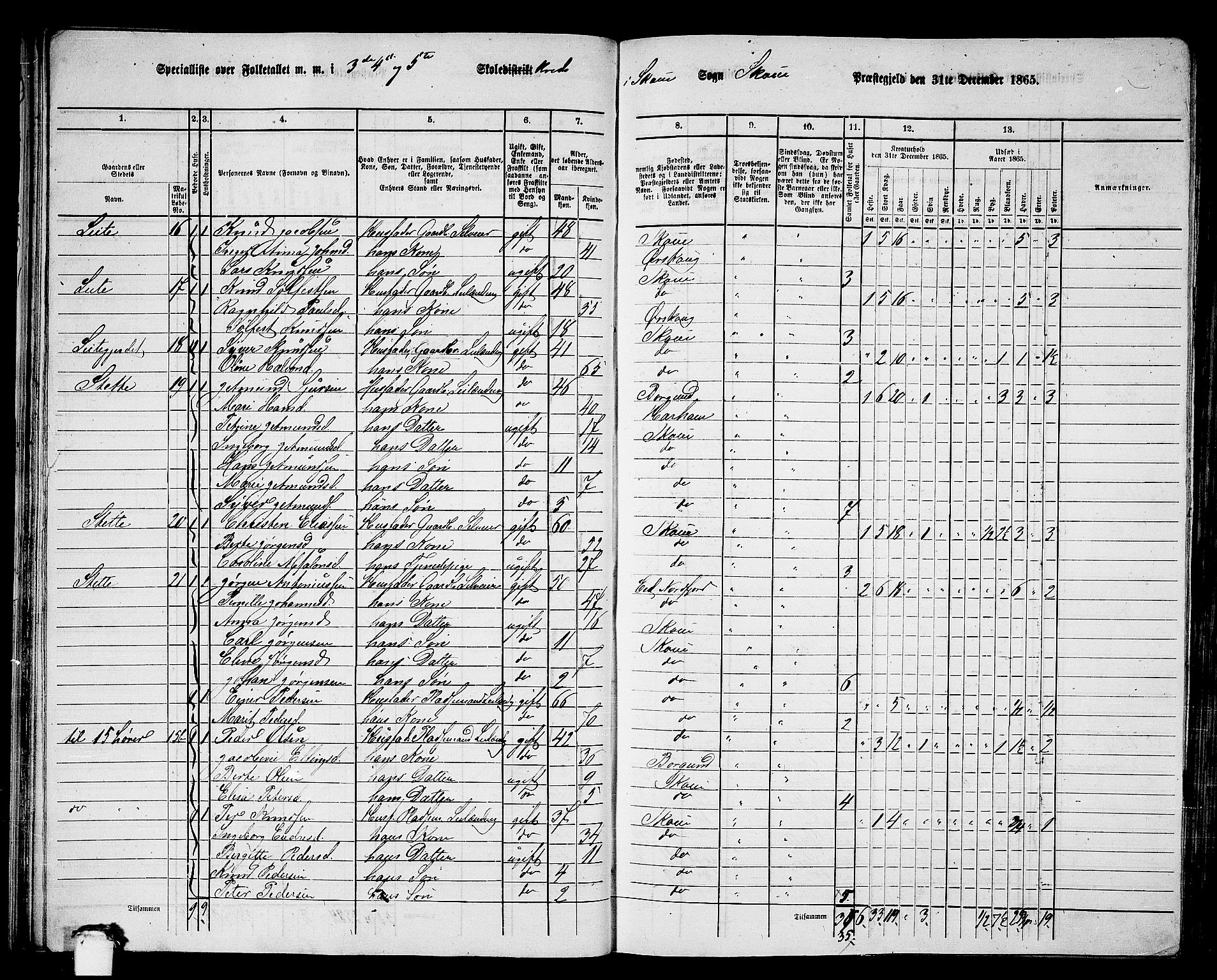 RA, 1865 census for Skodje, 1865, p. 38