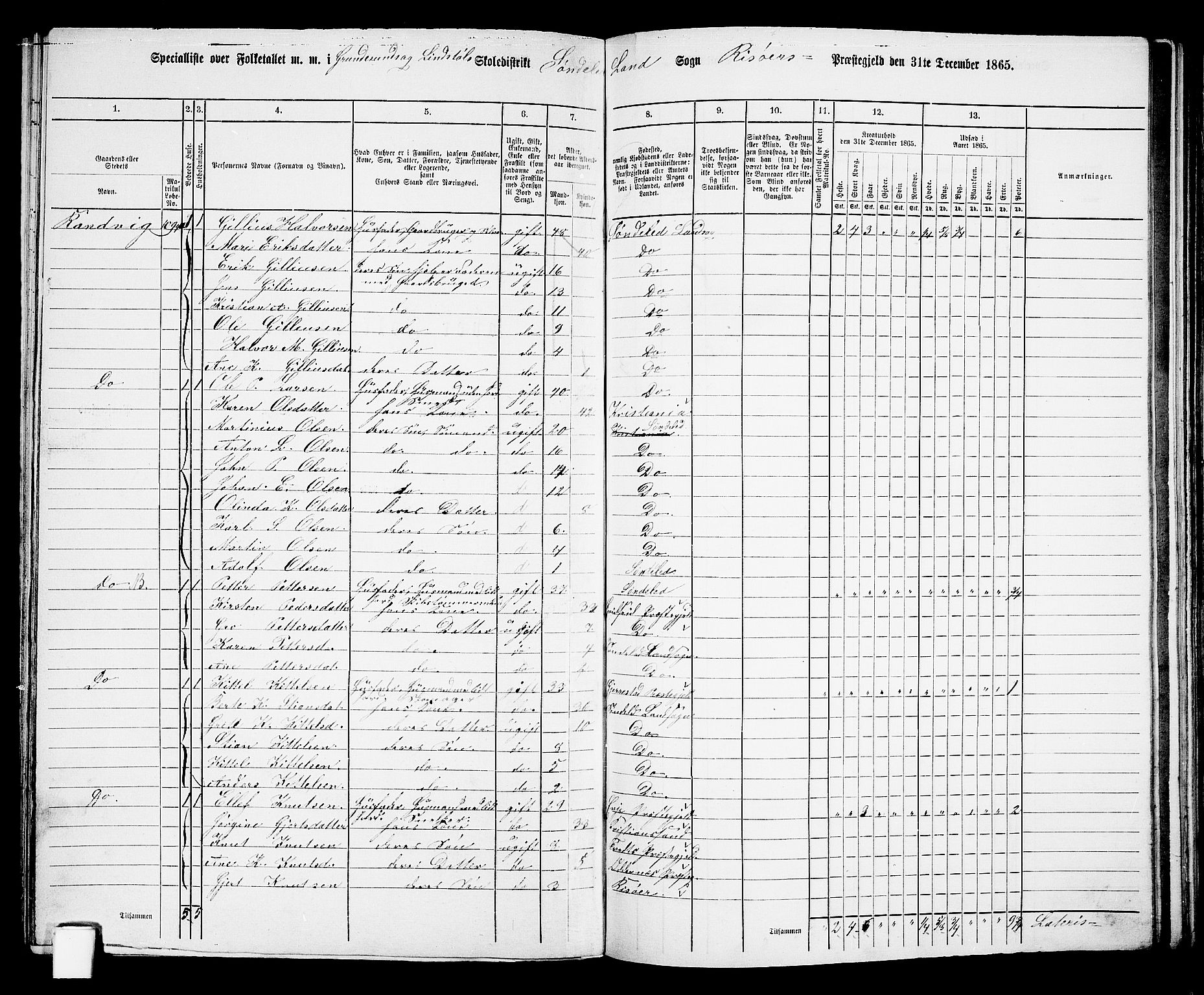 RA, 1865 census for Risør/Søndeled, 1865, p. 100
