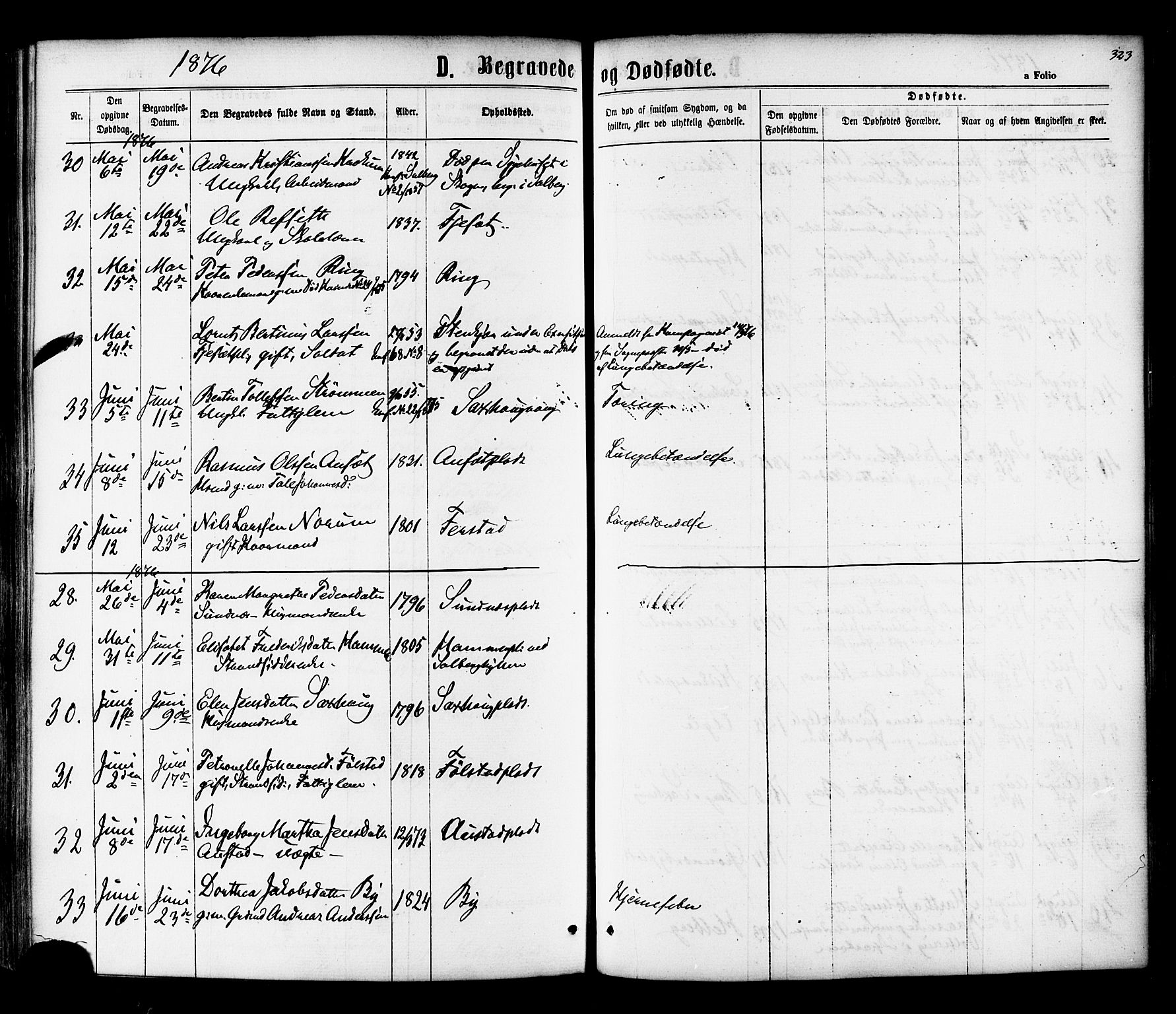 Ministerialprotokoller, klokkerbøker og fødselsregistre - Nord-Trøndelag, AV/SAT-A-1458/730/L0284: Parish register (official) no. 730A09, 1866-1878, p. 323