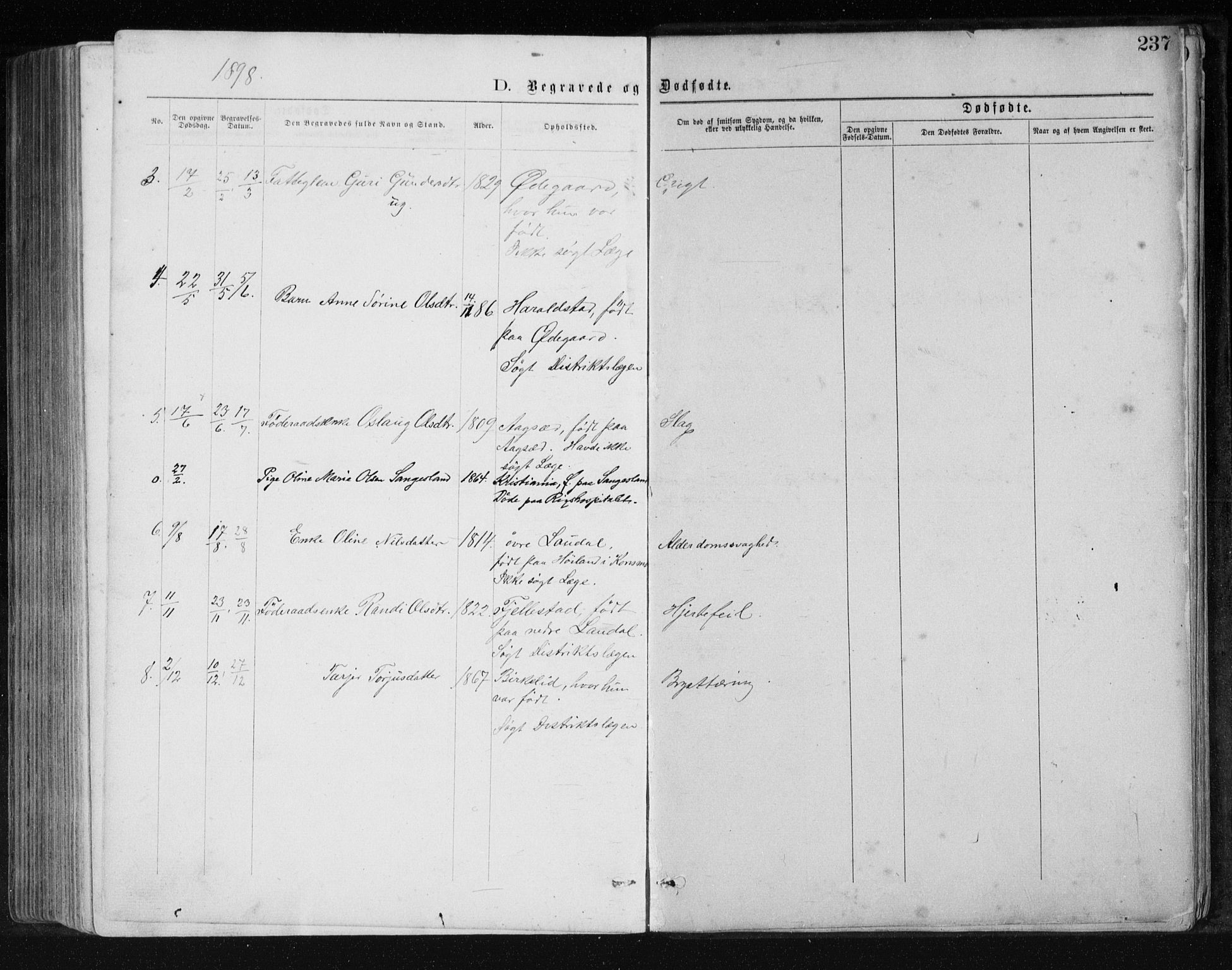 Holum sokneprestkontor, SAK/1111-0022/F/Fb/Fbb/L0003: Parish register (copy) no. B 3, 1875-1898, p. 237